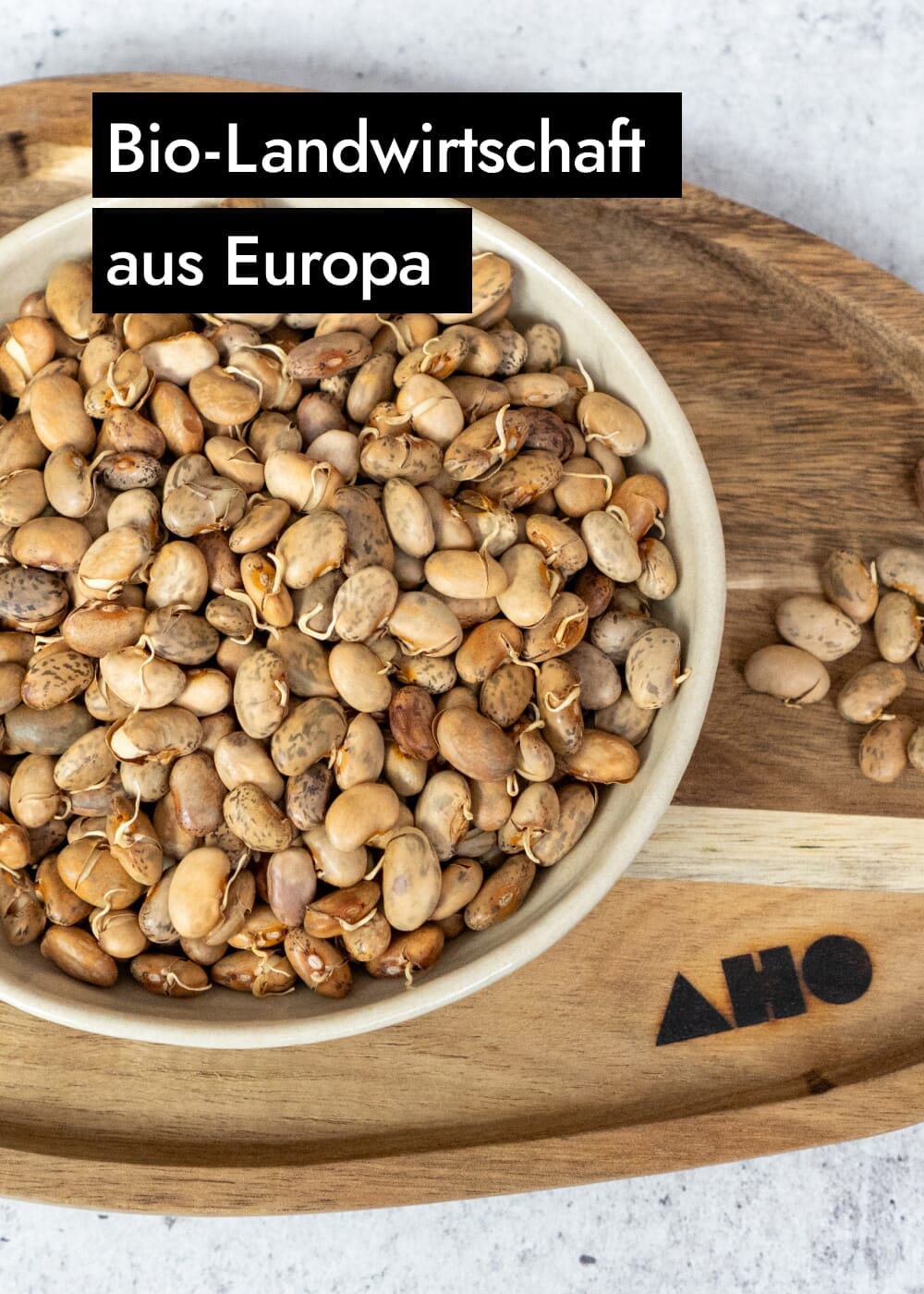 AHO Gekeimte Bohnen Ölsaaten AHO.BIO GmbH