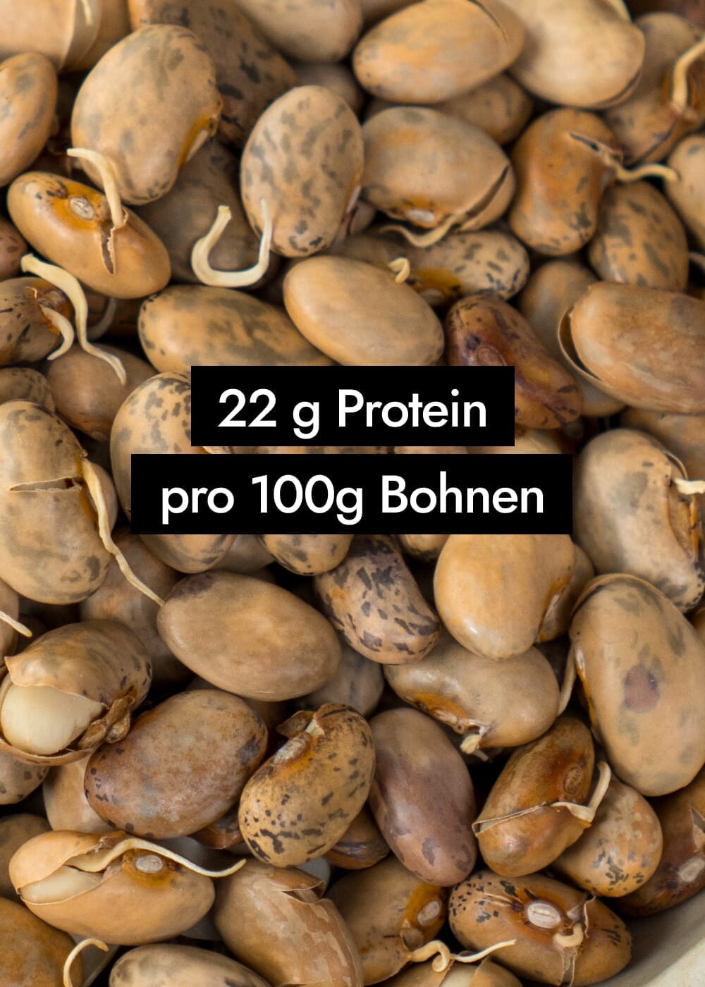 AHO Gekeimte Bohnen Ölsaaten AHO.BIO GmbH