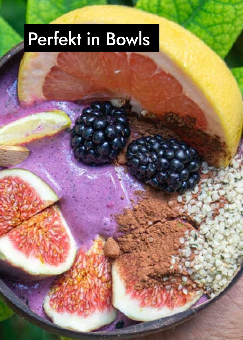 AHO Geschälte Hanfsamen Ölsaaten AHO.BIO GmbH