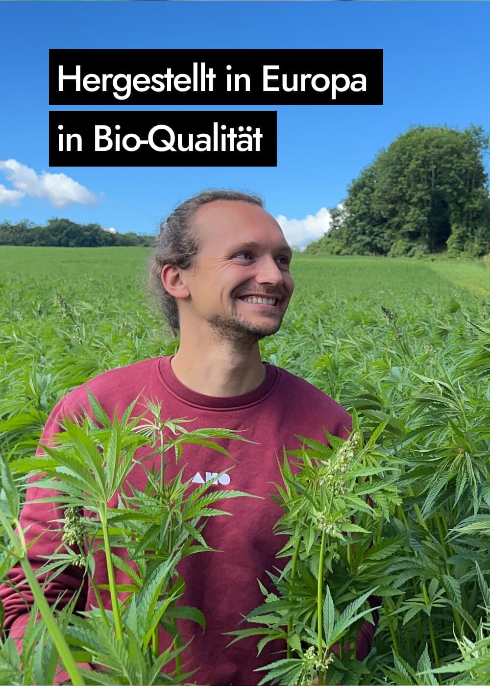 AHO Geschälte Hanfsamen Ölsaaten AHO.BIO GmbH