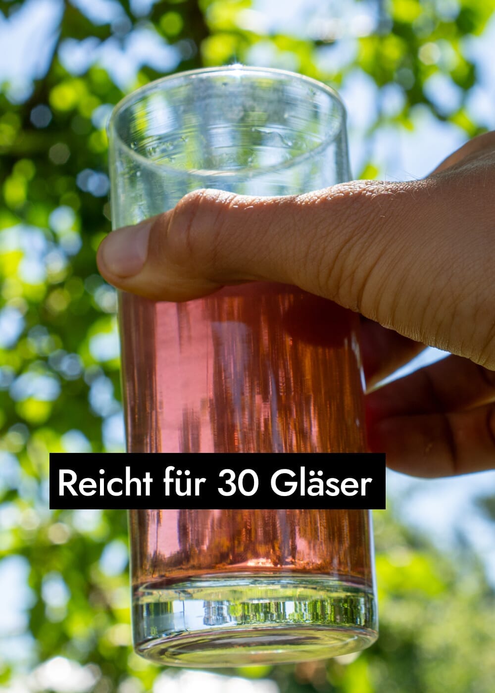 AHO Hibiskus Kollagen-Like Nahrungsergänzung AHO.BIO GmbH