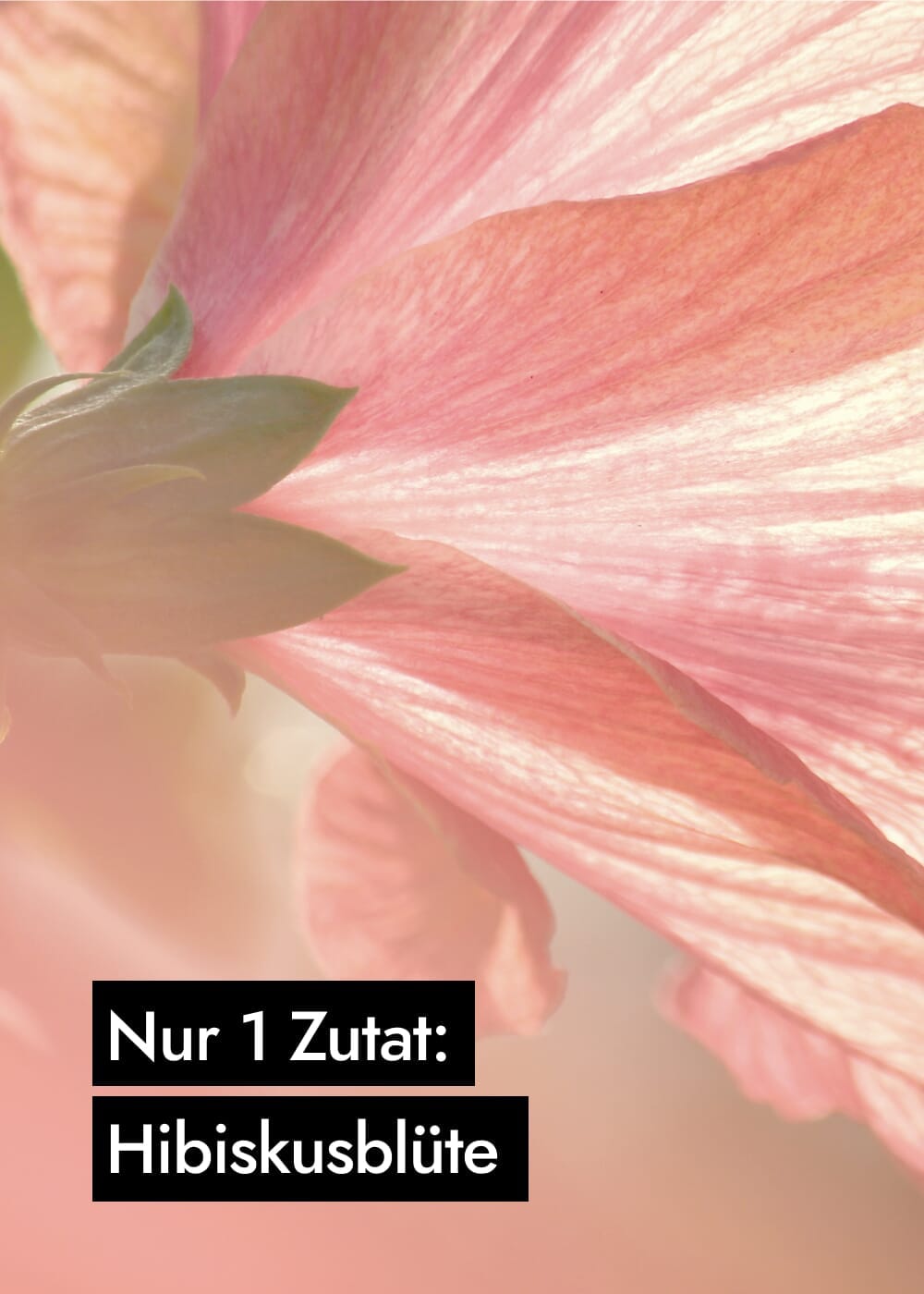 AHO Hibiskus Kollagen-Like Nahrungsergänzung AHO.BIO GmbH