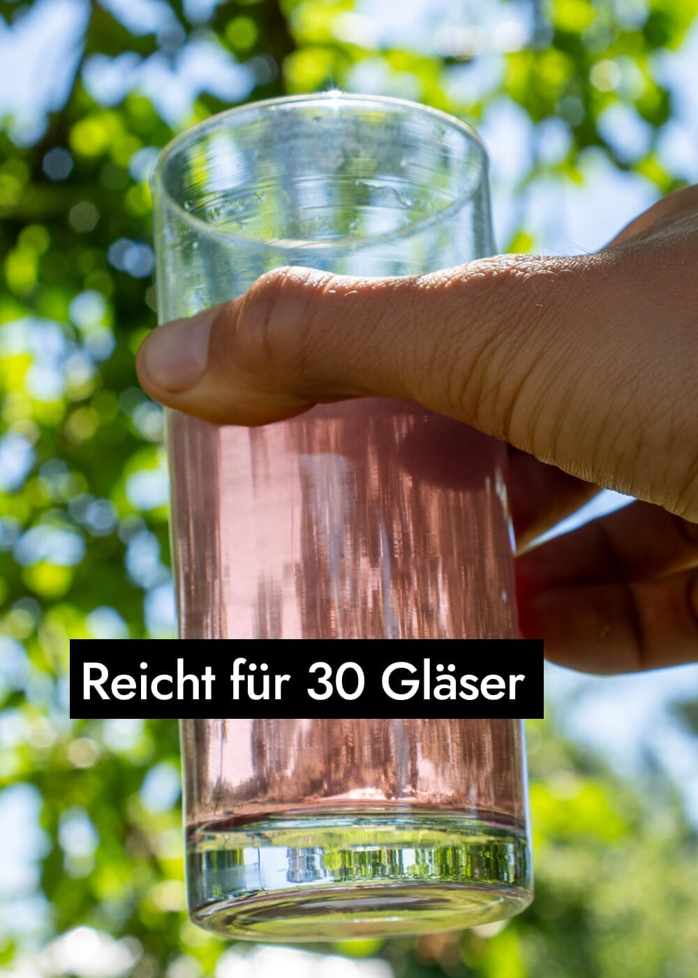 AHO Hibiskus Kollagen-Like Nahrungsergänzung AHO.BIO GmbH