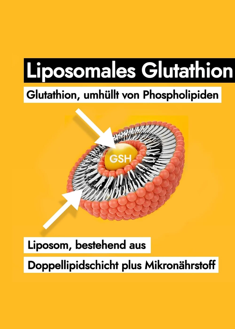 AHO Liposomaler Immun Drink Nahrungsergänzung AHO.BIO GmbH