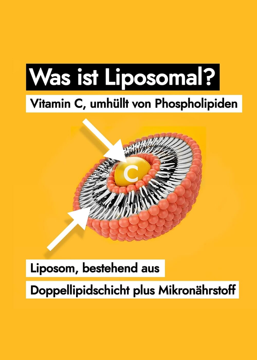 AHO Liposomaler Immun Drink Nahrungsergänzung AHO.BIO GmbH