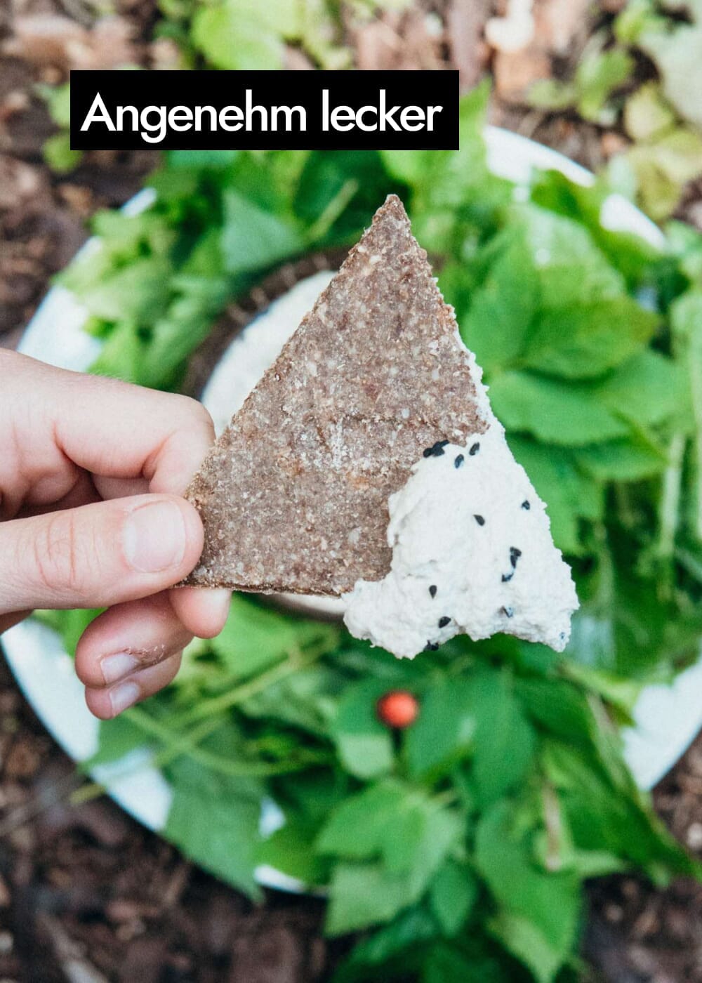 AHO Natur Cracker 2.0 Raw Vegan Cracker AHO.BIO GmbH