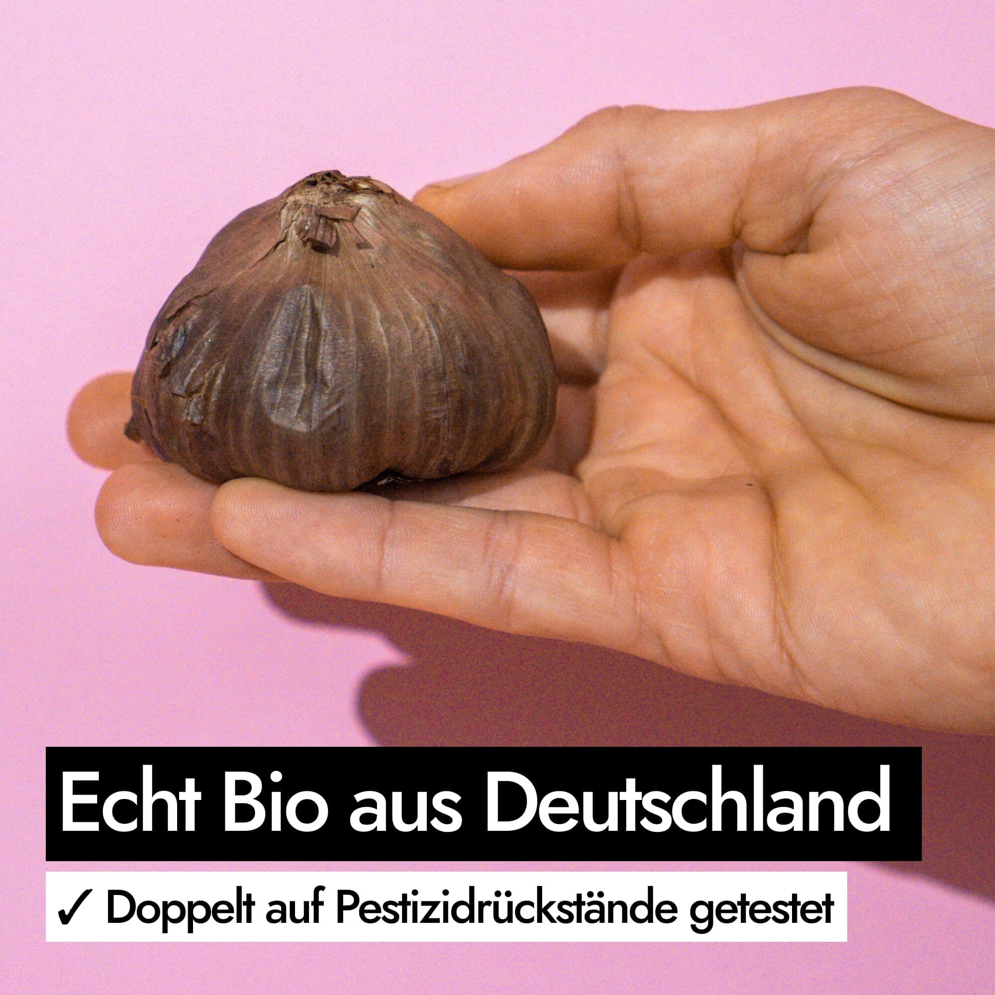 AHO Schwarzer Knoblauch AHO.BIO GmbH