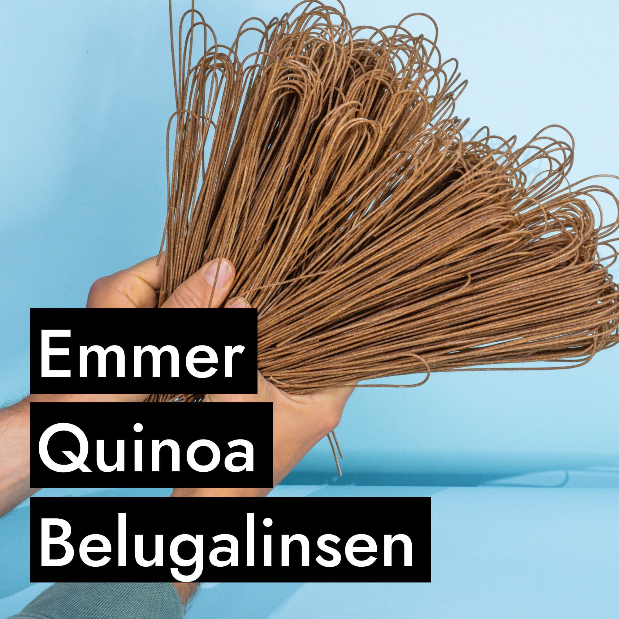 AHO Sprossen Spaghetti Raw Vegan Pasta AHO.BIO GmbH