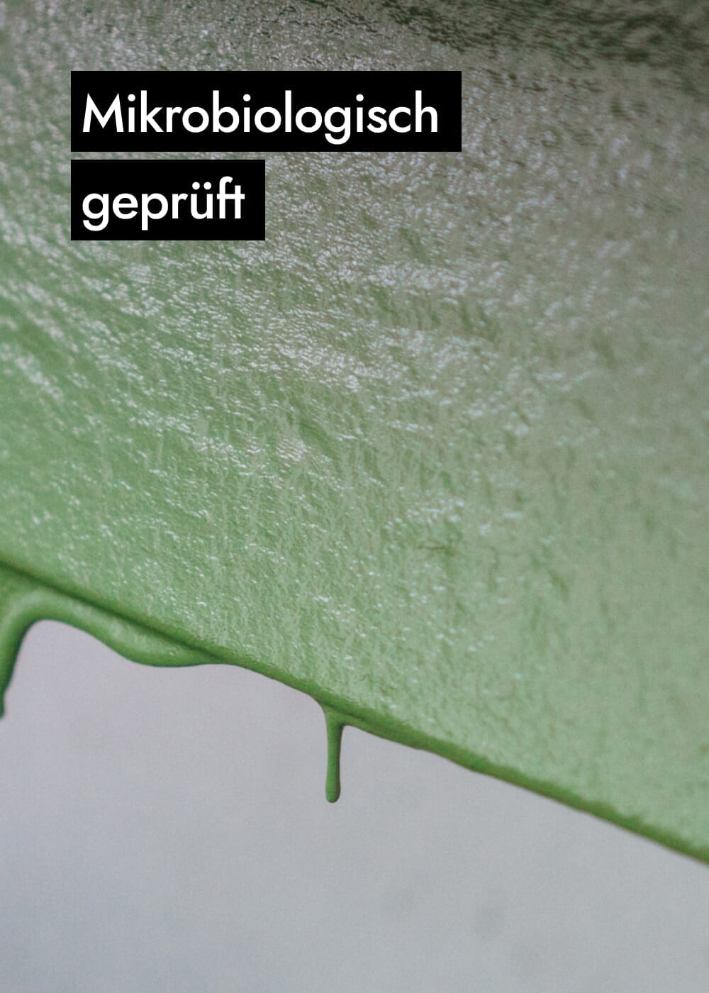 AHO Spirulina Flakes Raw Vegan Granola AHO.BIO GmbH