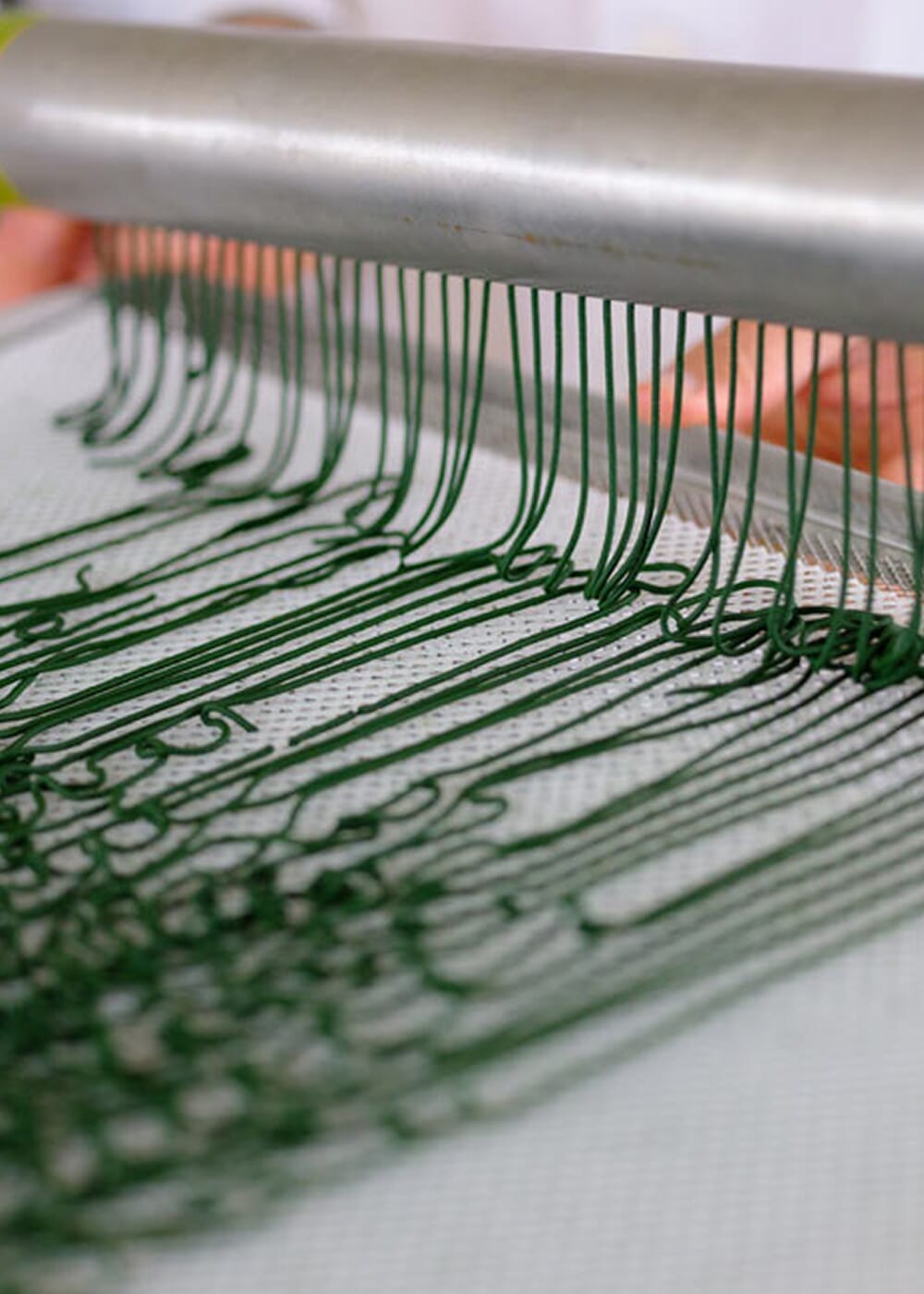 AHO Spirulina Streusel Raw Vegan Granola AHO.BIO GmbH