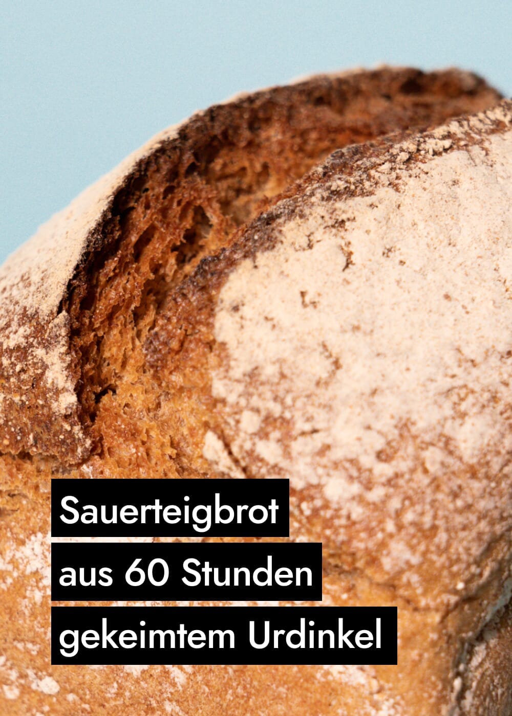 AHO Sprossen Brot Getreide AHO.BIO GmbH