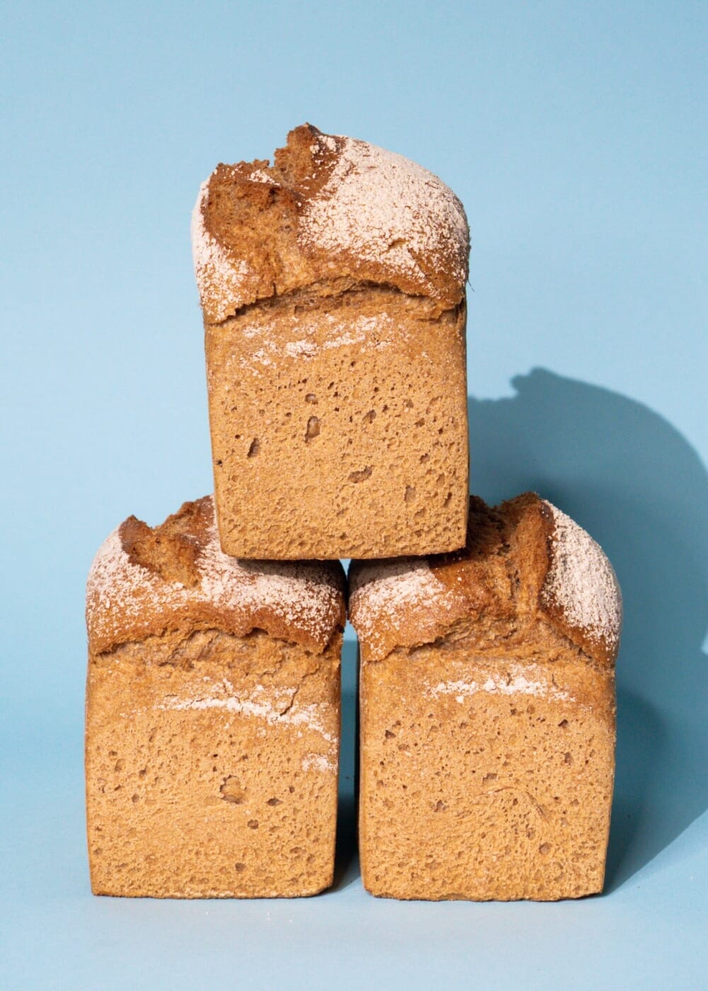 AHO Sprossen Brot Getreide AHO.BIO GmbH 1,44kg (3 Brote)