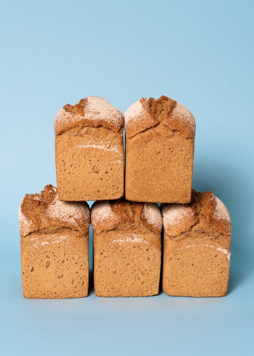 AHO Sprossen Brot Getreide AHO.BIO GmbH 2,4kg (5 Brote)