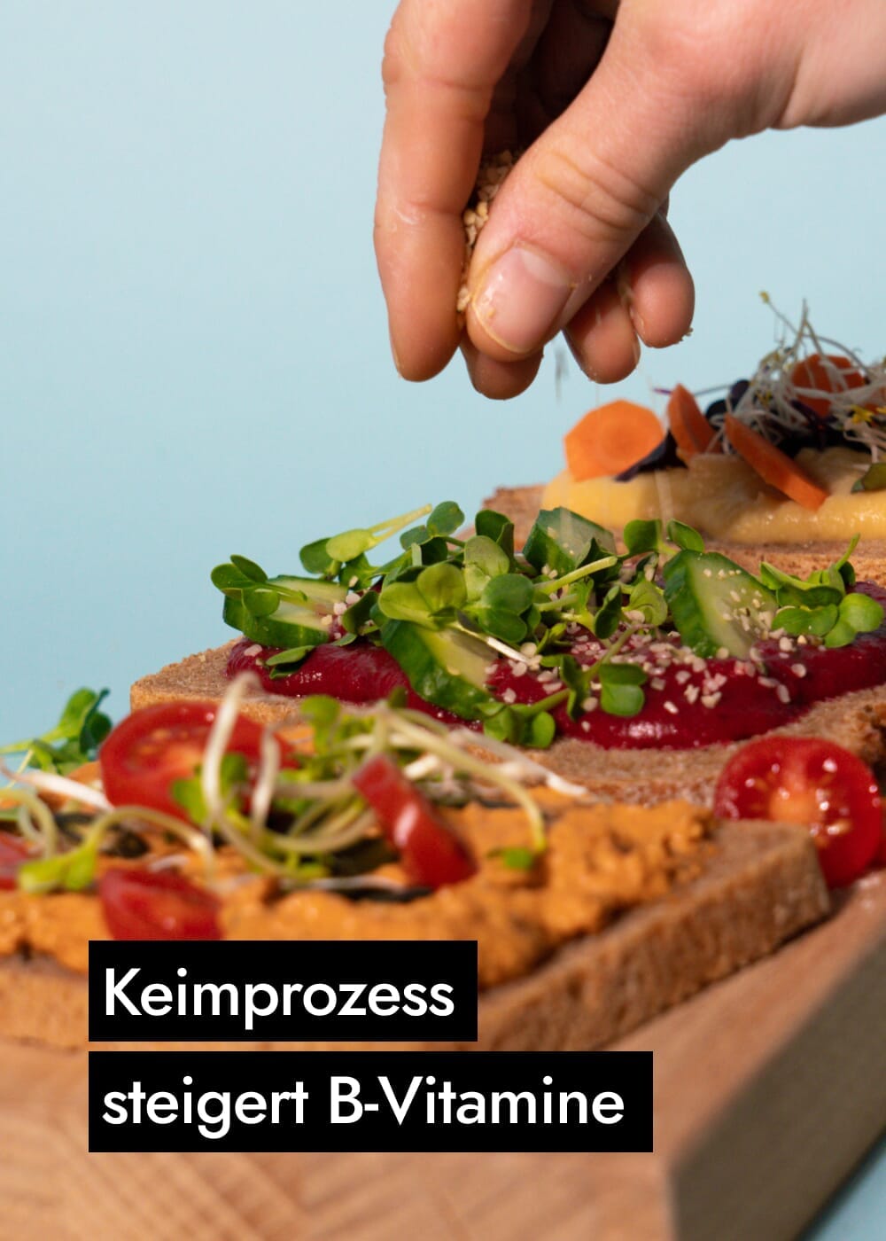AHO Sprossen Brot Getreide AHO.BIO GmbH