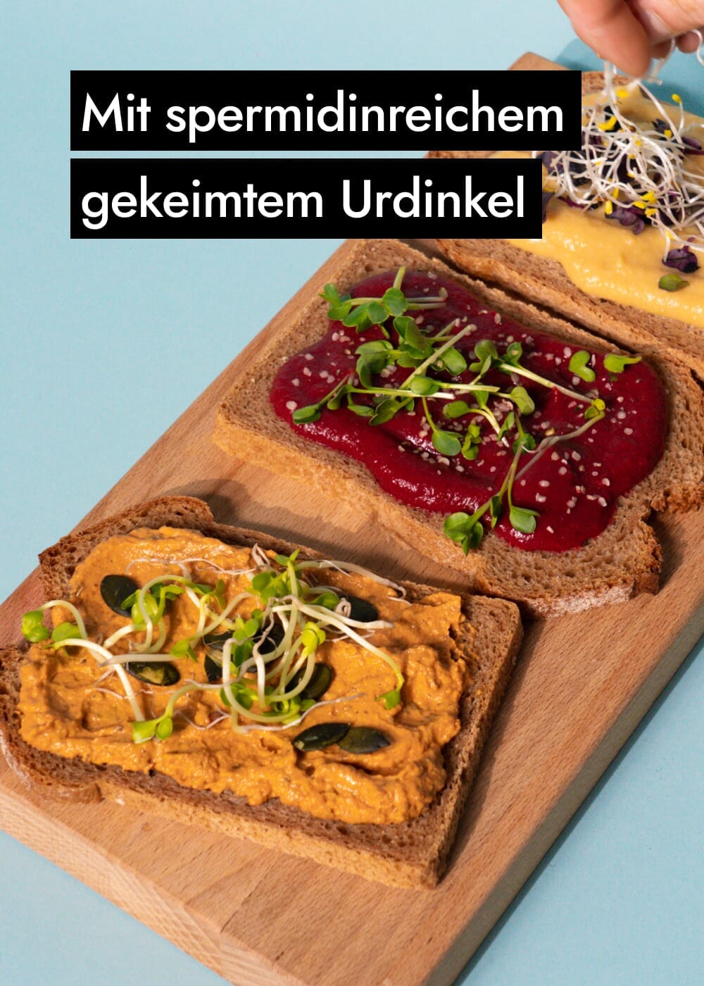 AHO Sprossen Brot Getreide AHO.BIO GmbH