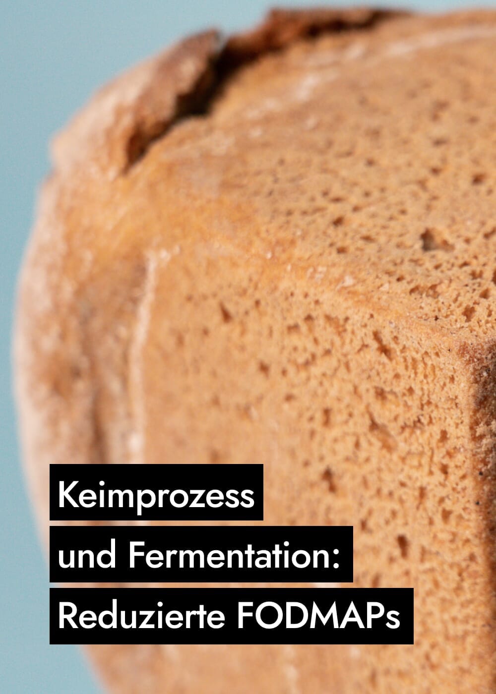 AHO Sprossen Brot Getreide AHO.BIO GmbH