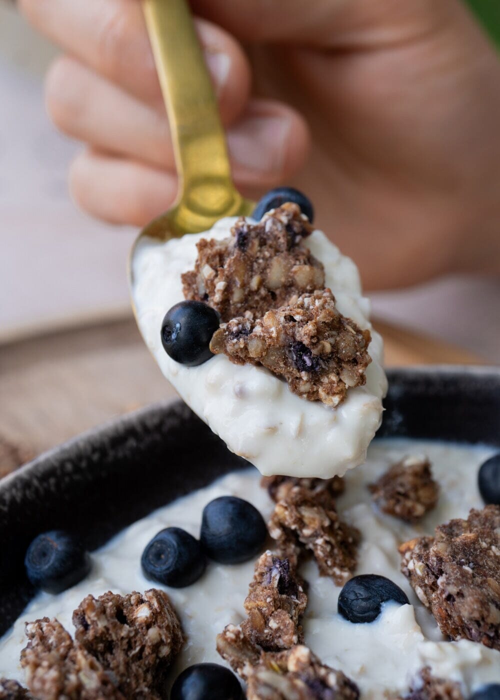 AHO Sprossen Crunchies Raw Vegan Granola AHO.BIO GmbH