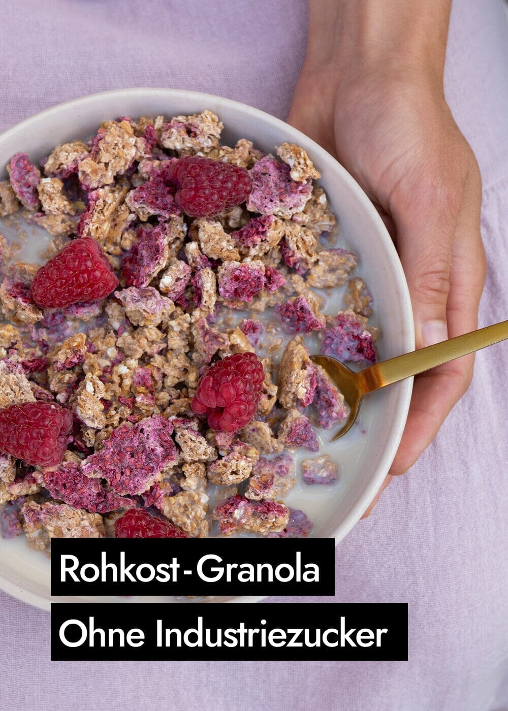 AHO Sprossen Granola Raw Vegan Granola AHO.BIO GmbH