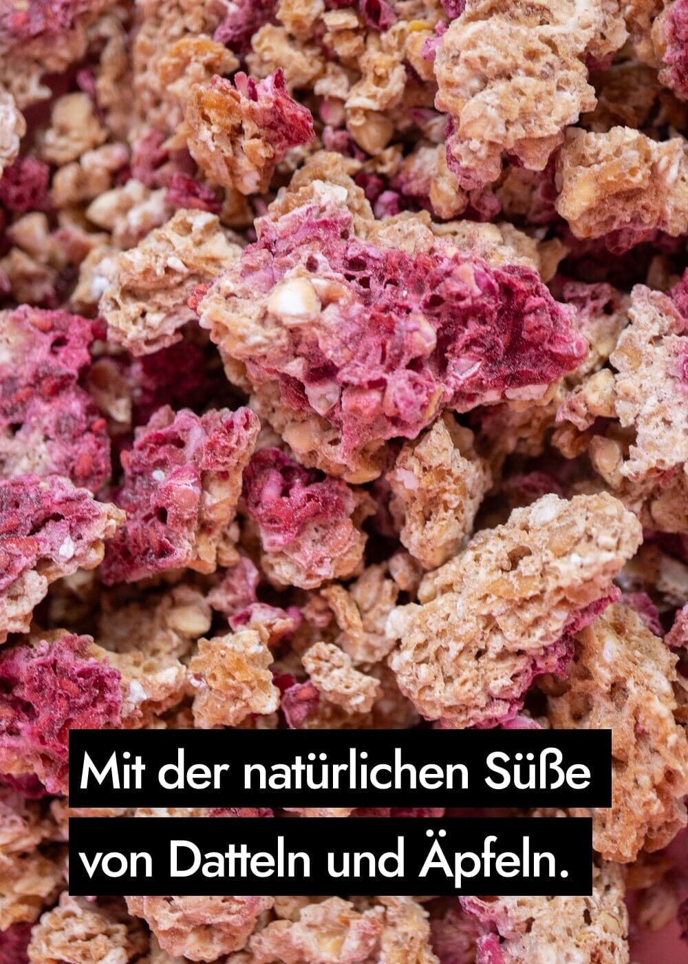 AHO Sprossen Granola Raw Vegan Granola AHO.BIO GmbH