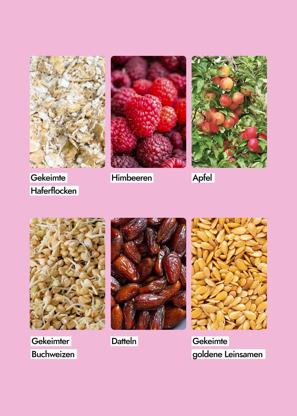 AHO Sprossen Granola Raw Vegan Granola AHO.BIO GmbH