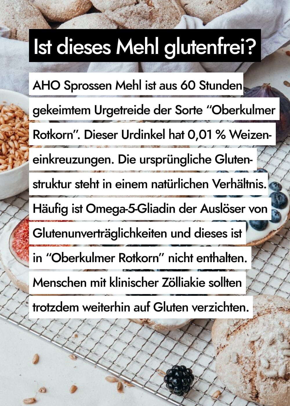 AHO Sprossen Mehl Raw Vegan Pasta AHO.BIO GmbH