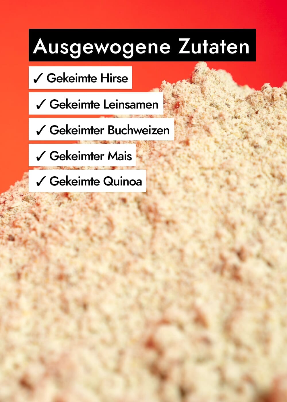 AHO Sprossen Porridge Raw Vegan Granola AHO.BIO GmbH