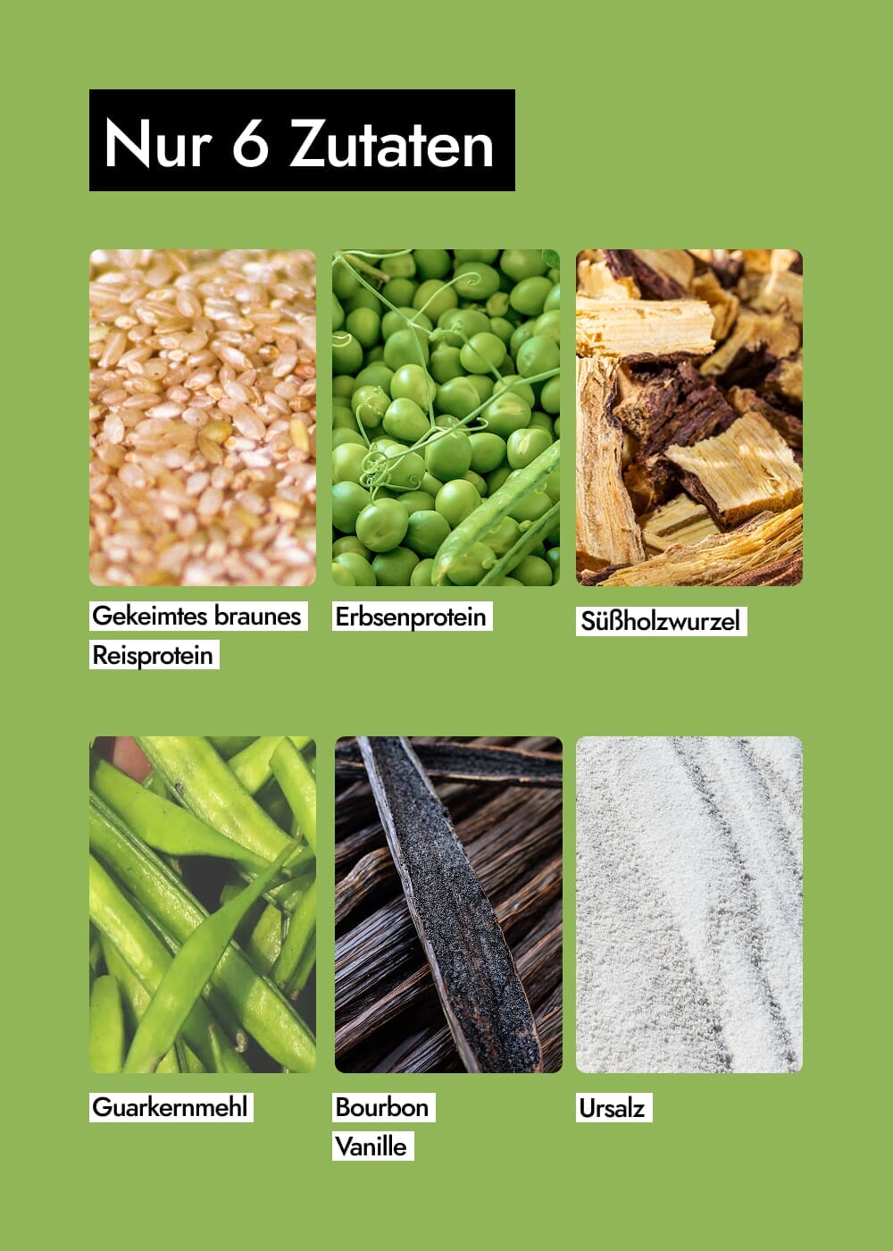 AHO Sprossen Protein Getreide AHO.BIO GmbH