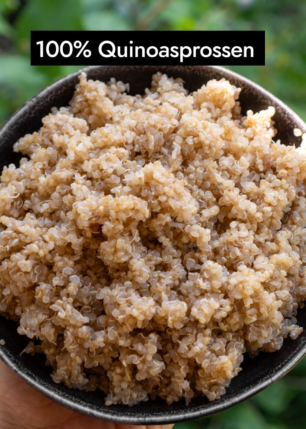 AHO Sprossen Quinoa Getreide AHO.BIO GmbH