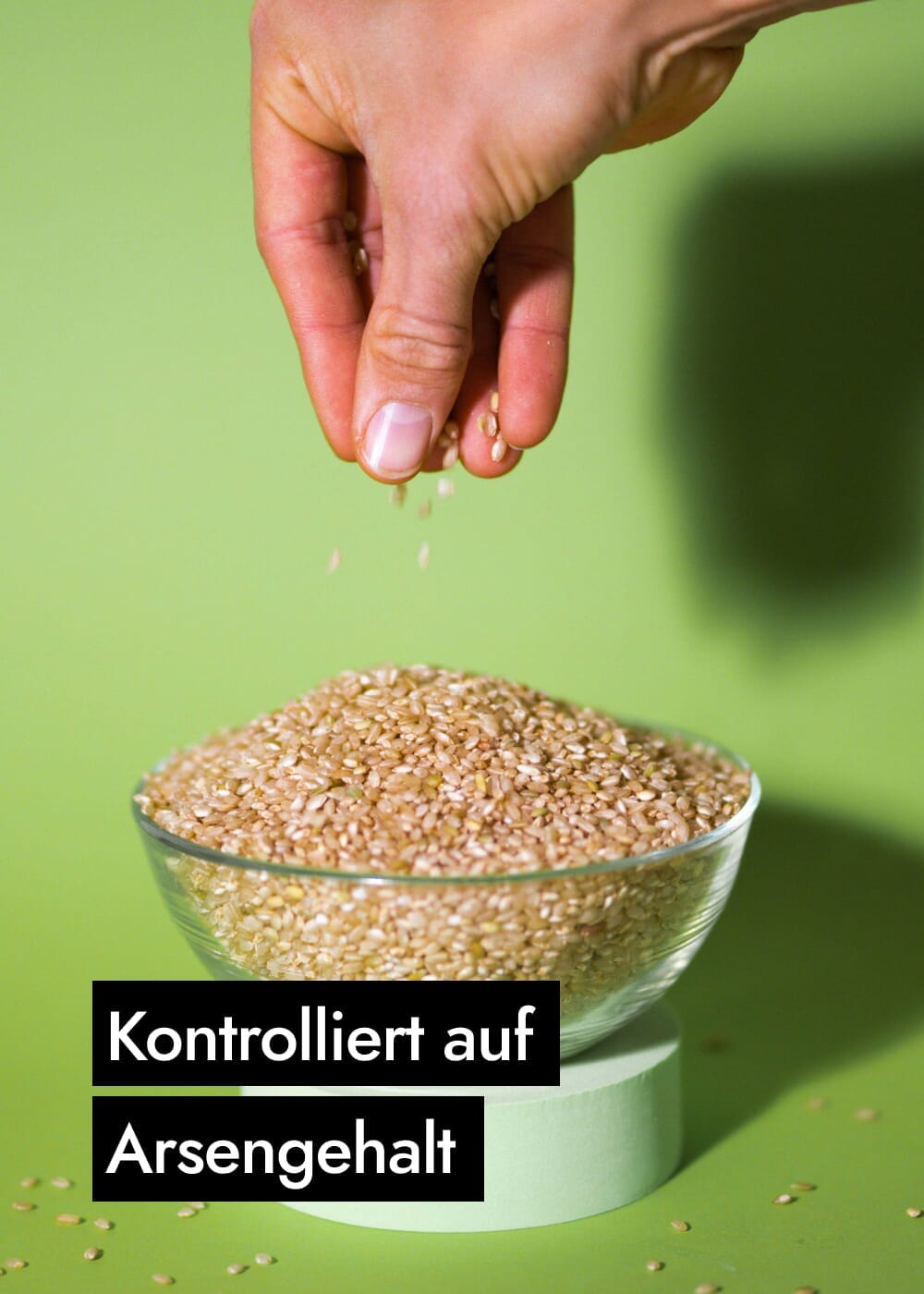 AHO Sprossen Reis Getreide AHO.BIO GmbH
