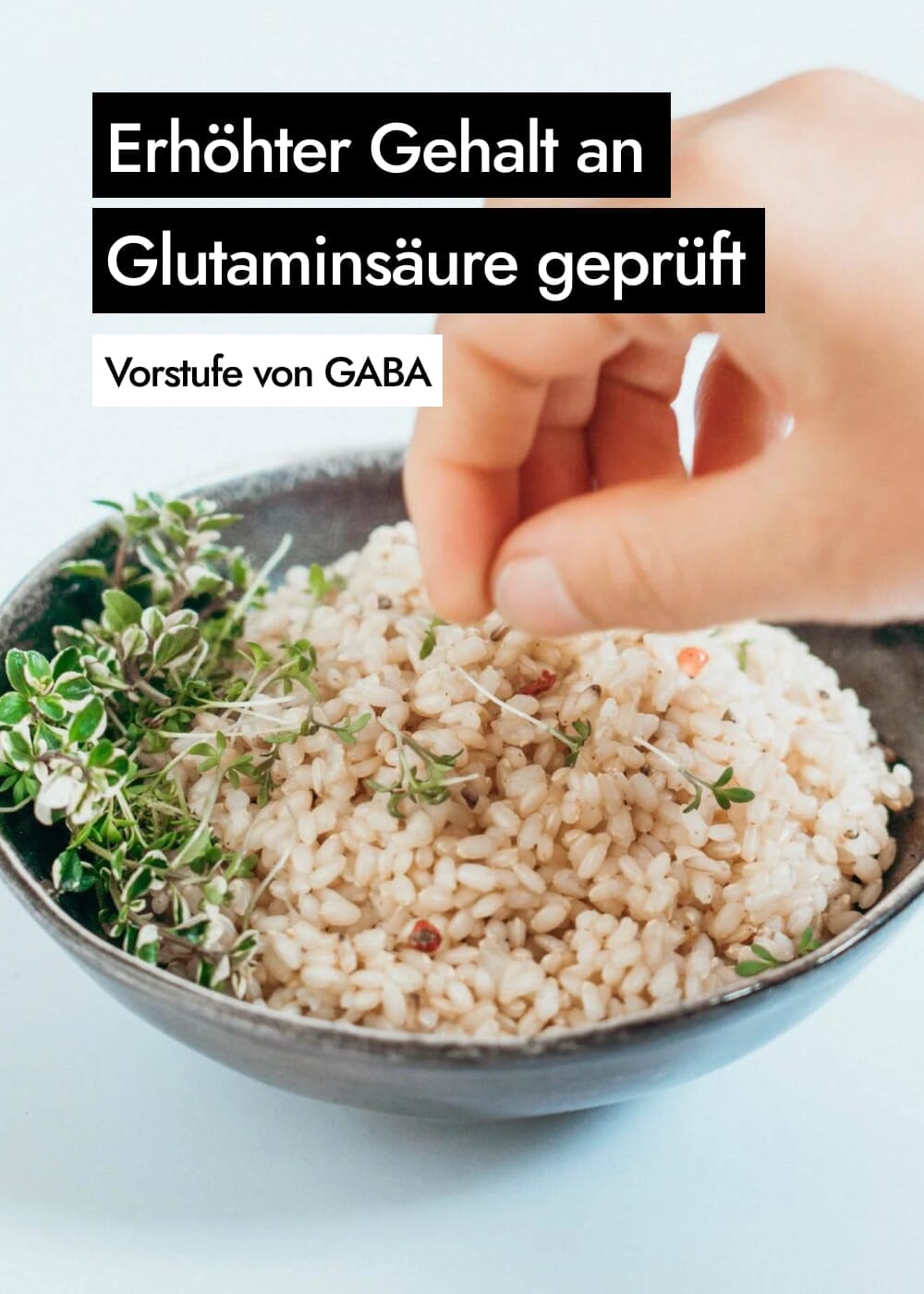 AHO Sprossen Reis Getreide AHO.BIO GmbH