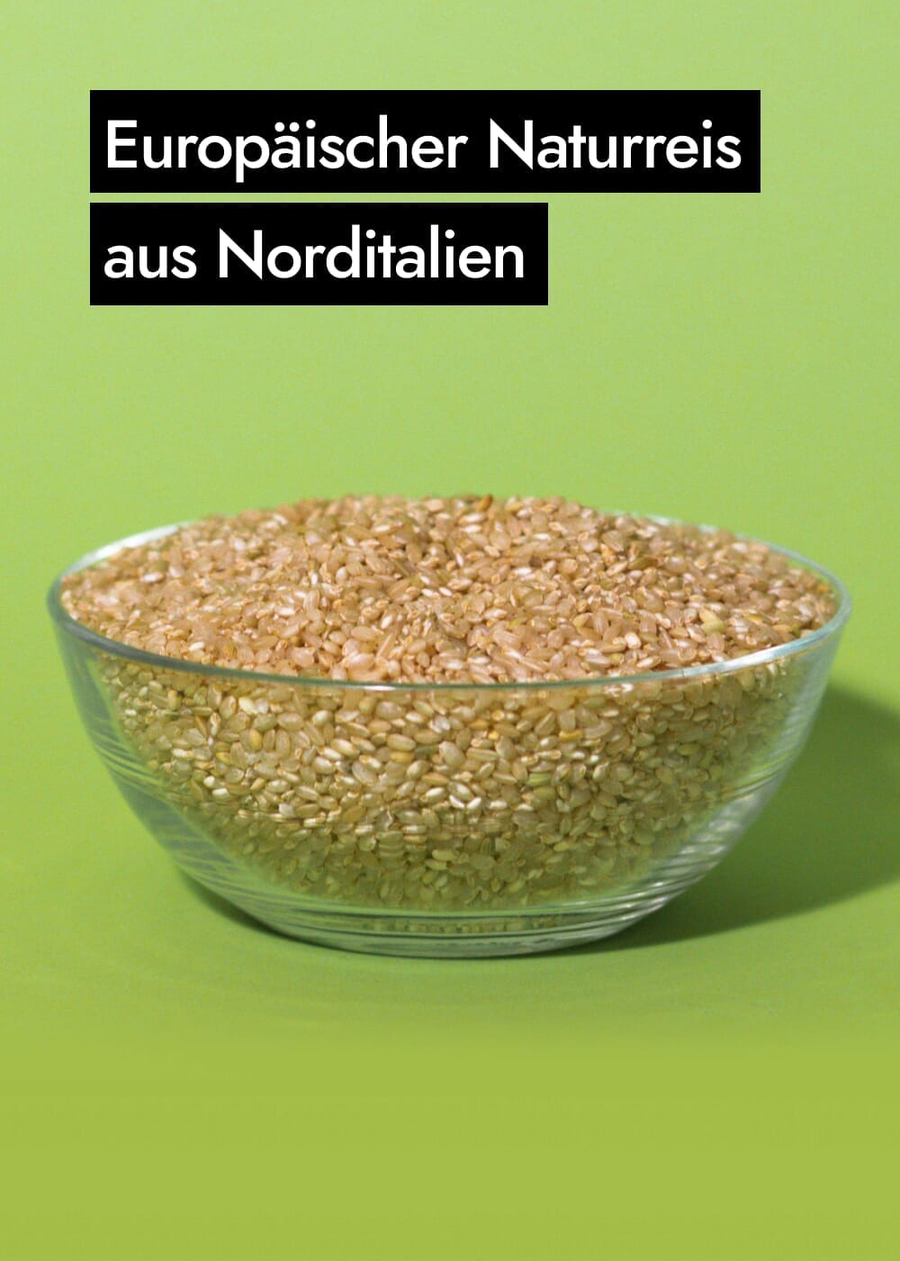 AHO Sprossen Reis Getreide AHO.BIO GmbH