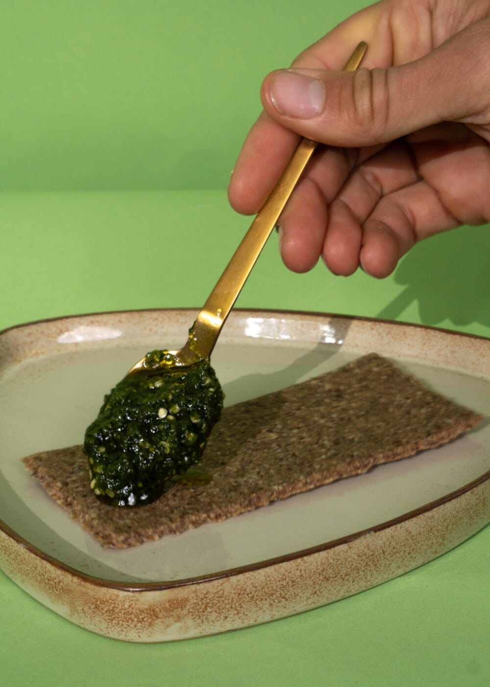 AHO Wildes Bärlauch Pesto Nüsse AHO.BIO GmbH