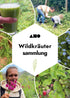 AHO Wildkräutersammlung Event Event