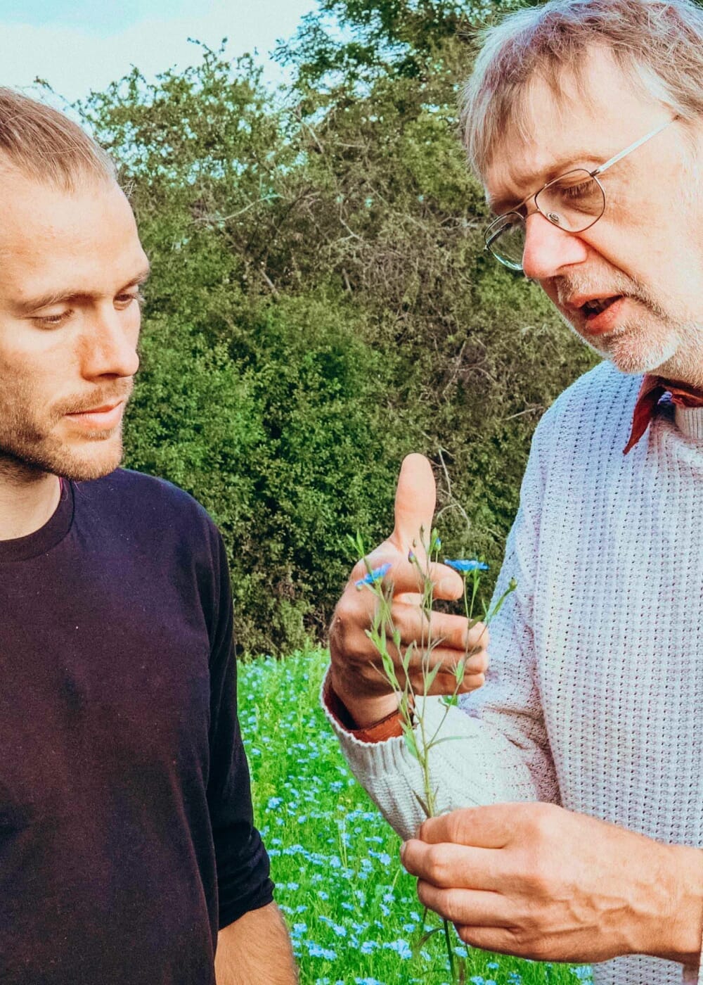 AHO Goldene Leinsamen Ölsaaten AHO.BIO GmbH