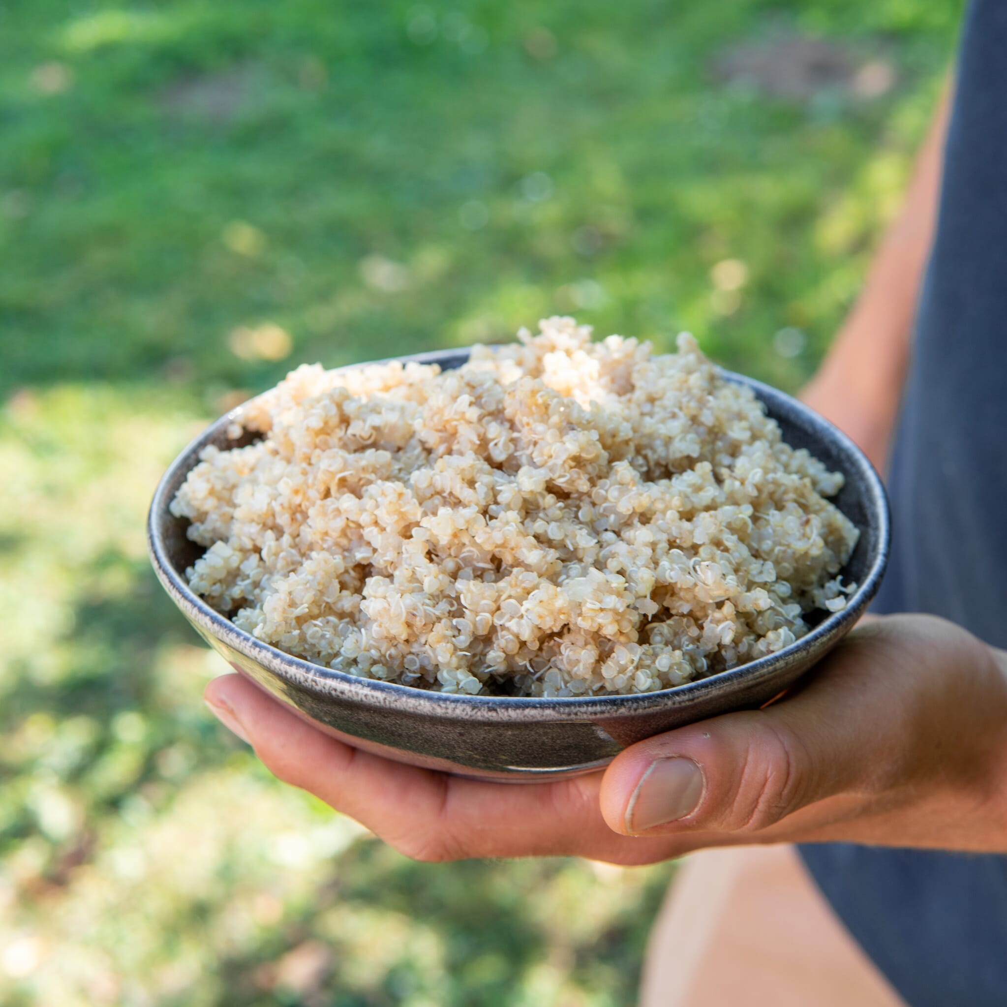AHO Sprossen Quinoa Getreide AHO.BIO GmbH