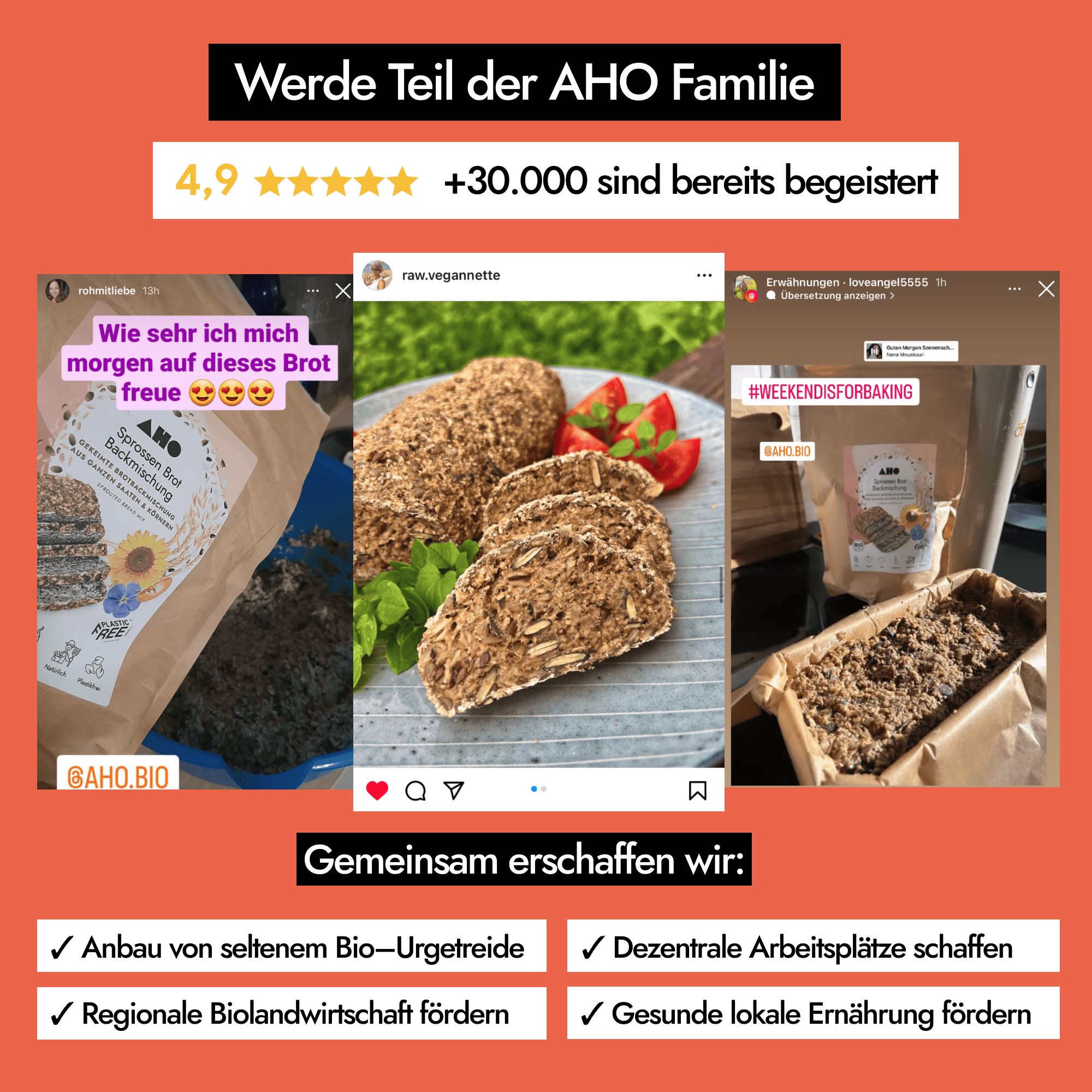 AHO Sprossen Brot Backmischung Getreide AHO.BIO GmbH
