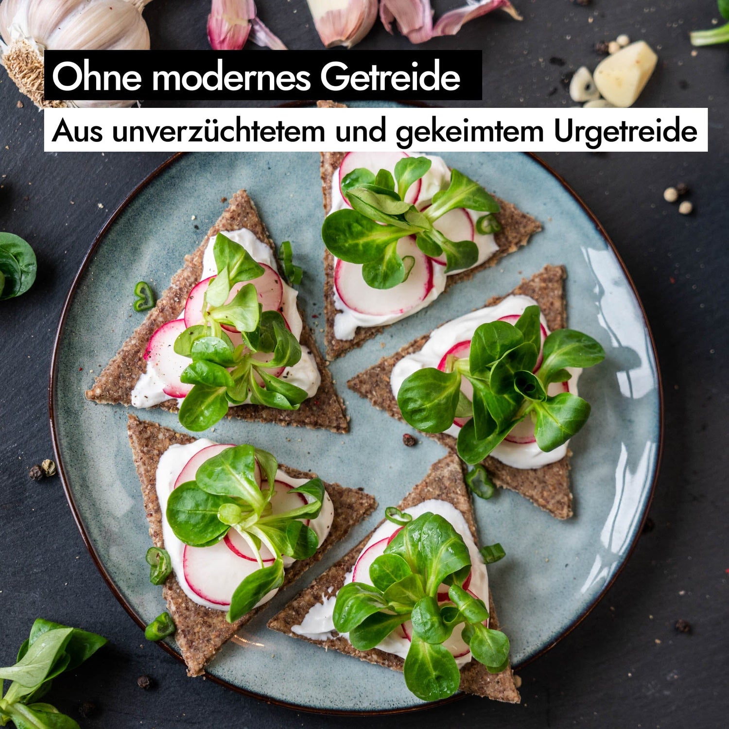 AHO Cracker Probierpaket 2.0 Produkt-Bundles AHO.BIO GmbH