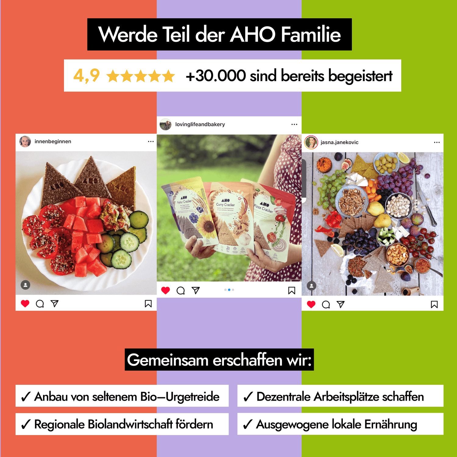AHO Cracker Probierpaket 2.0 Produkt-Bundles AHO.BIO GmbH