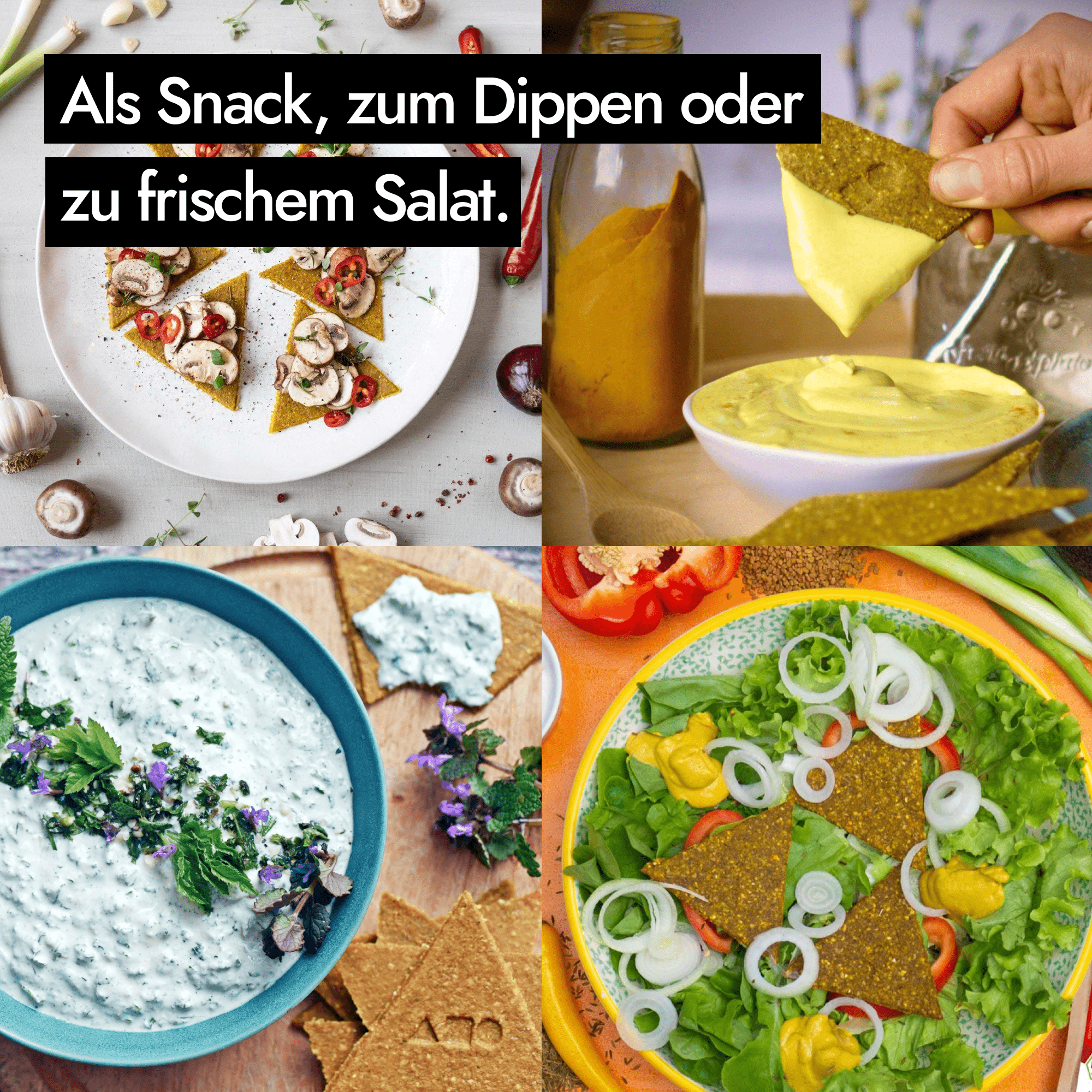 AHO Curry Cracker 2.0 Raw Vegan Cracker AHO.BIO GmbH