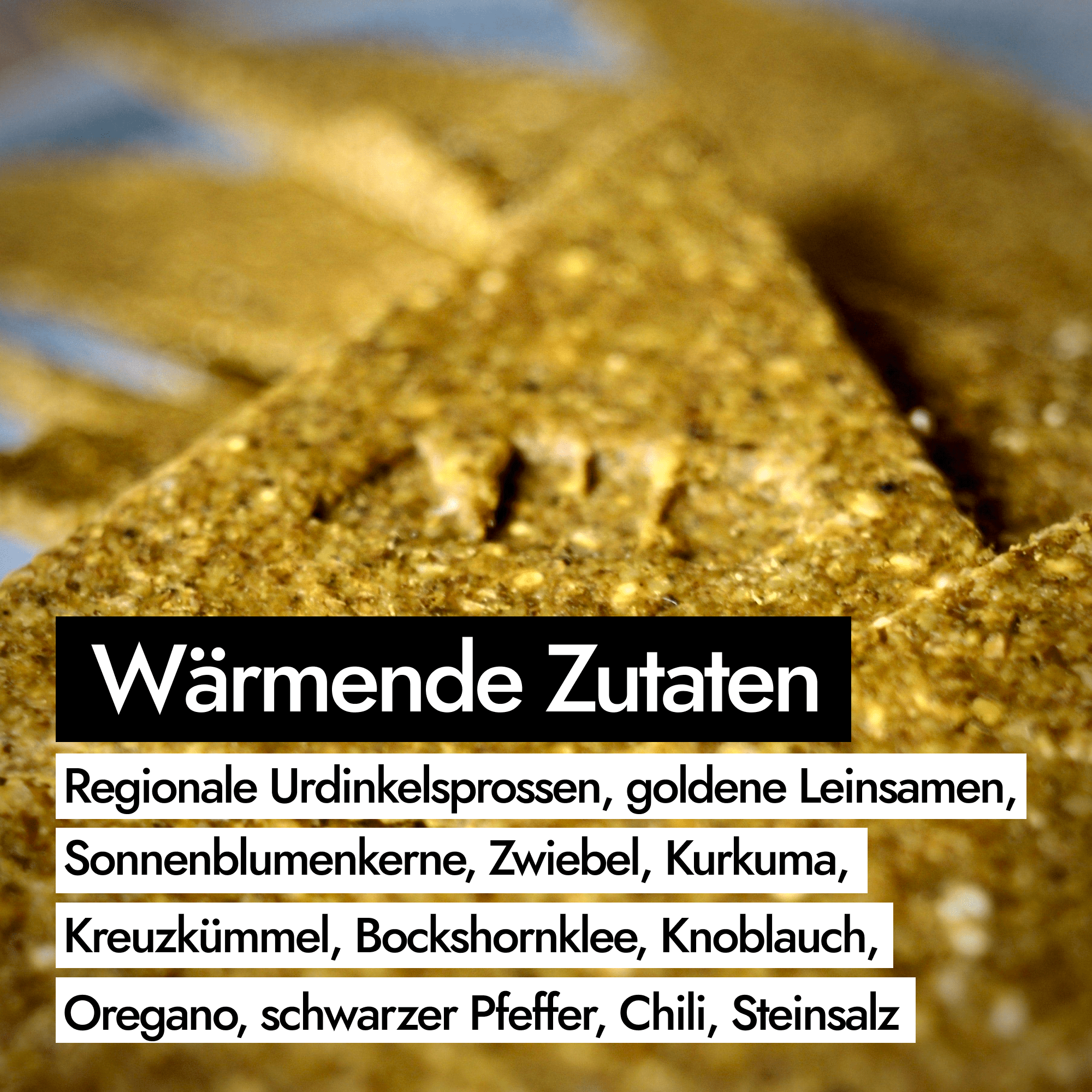 AHO Curry Cracker 2.0 Raw Vegan Cracker AHO.BIO GmbH