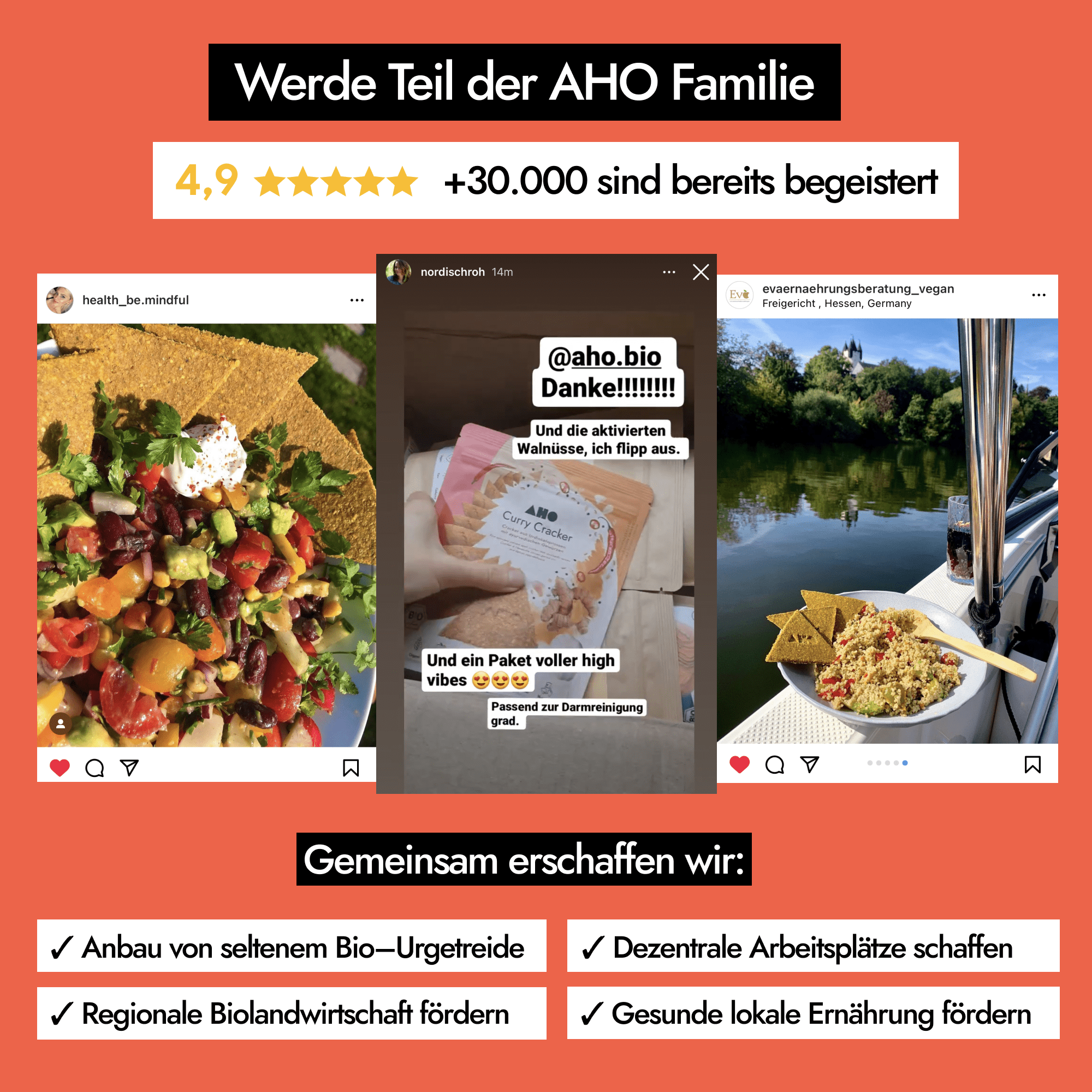 AHO Curry Cracker 2.0 Raw Vegan Cracker AHO.BIO GmbH