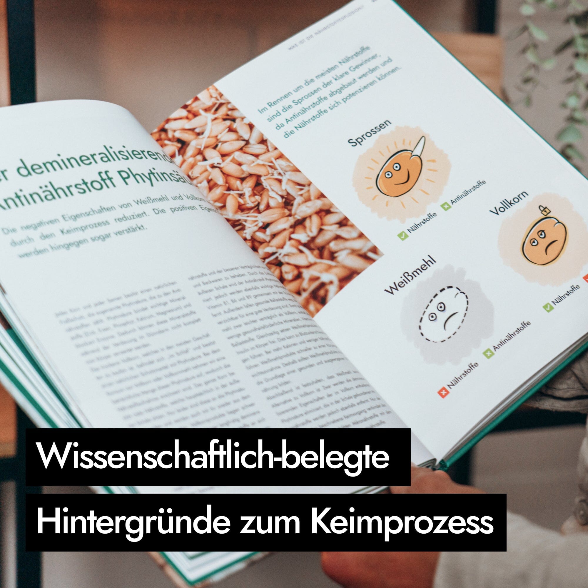 Das Geheimnis der Nährstoffexplosion Bücher AHO.BIO GmbH