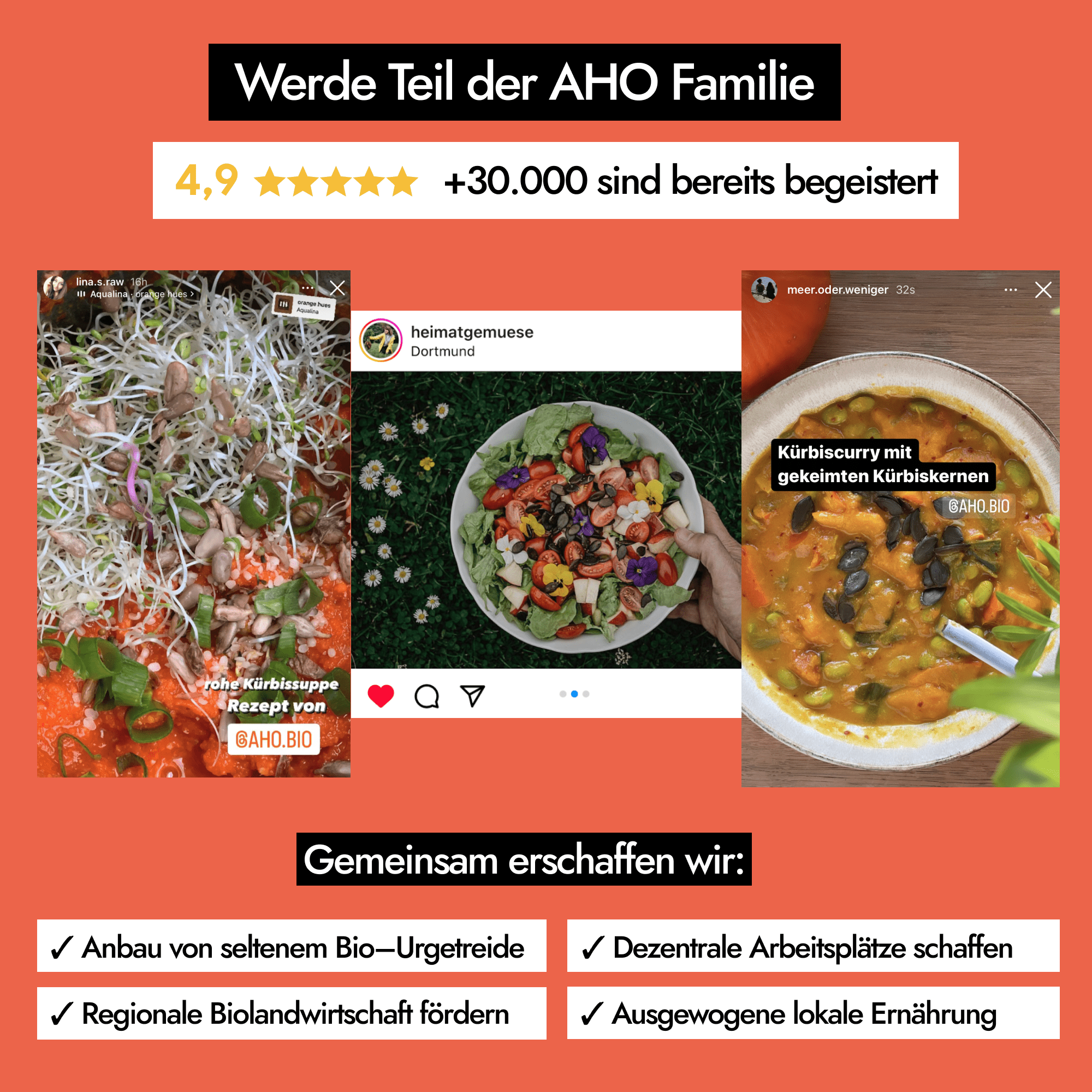 AHO Gekeimte Kürbiskerne Ölsaaten AHO.BIO GmbH