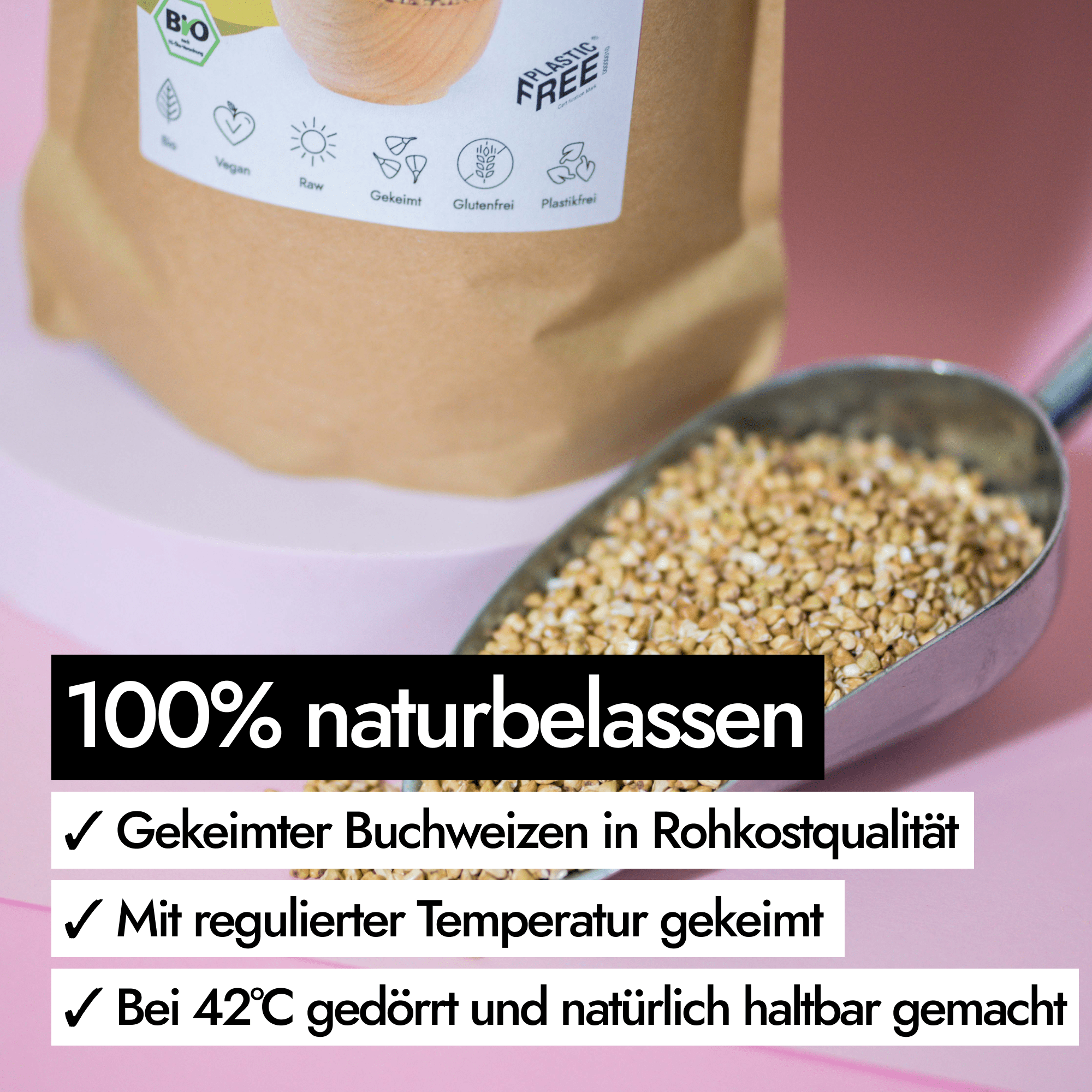 AHO Gekeimter Buchweizen Pseudogetreide AHO.BIO GmbH