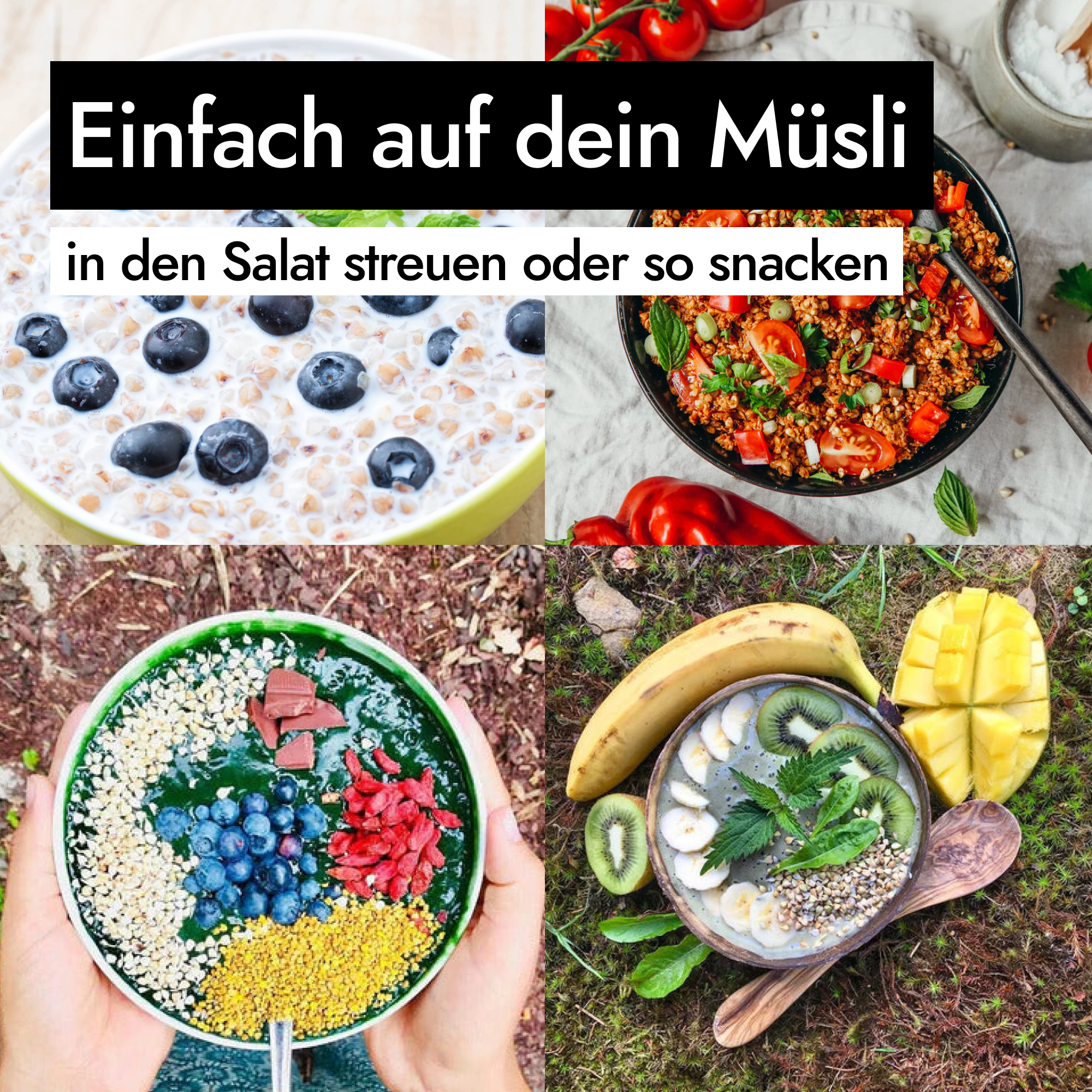 AHO Gekeimter Buchweizen Pseudogetreide AHO.BIO GmbH