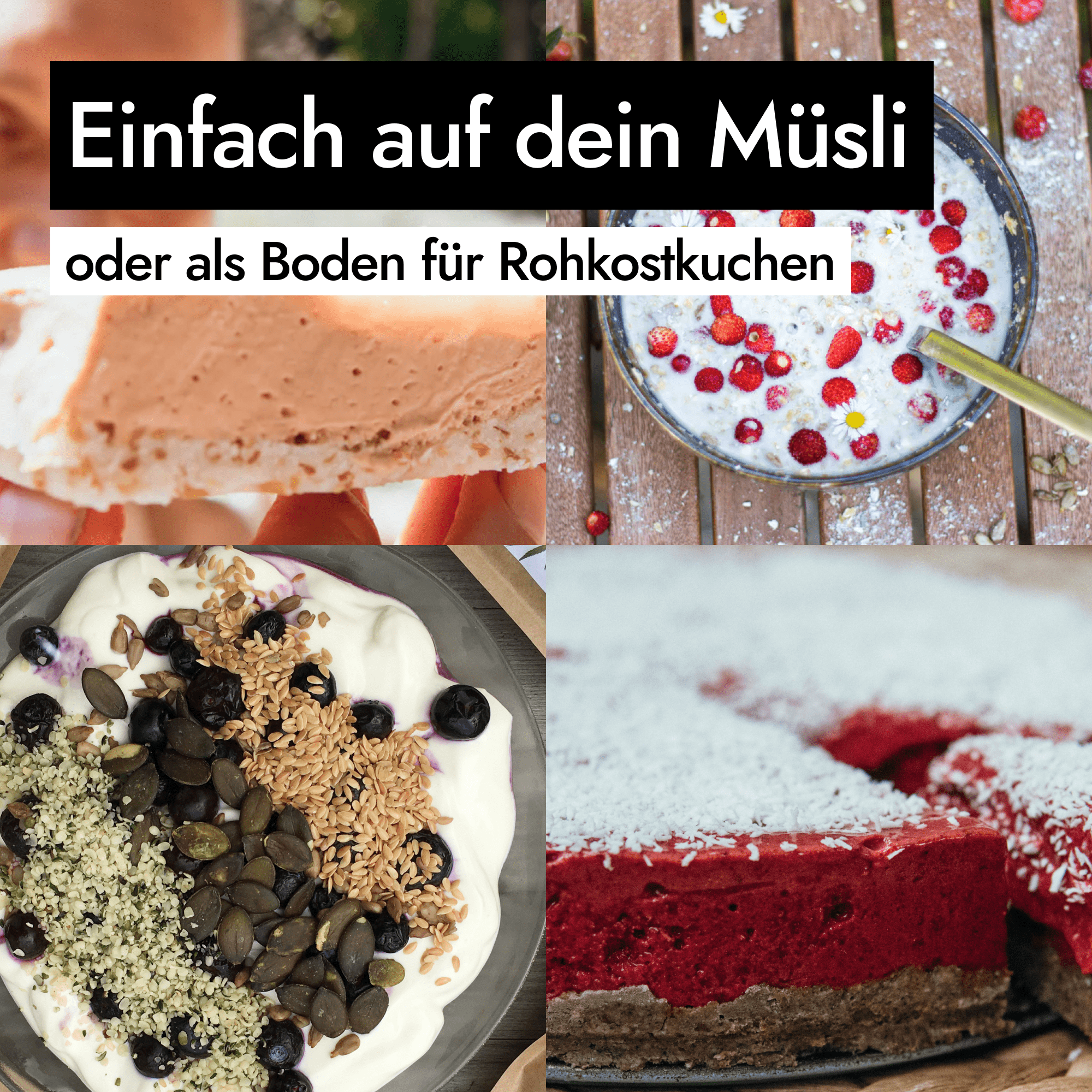 AHO Goldene Leinsamen Ölsaaten AHO.BIO GmbH