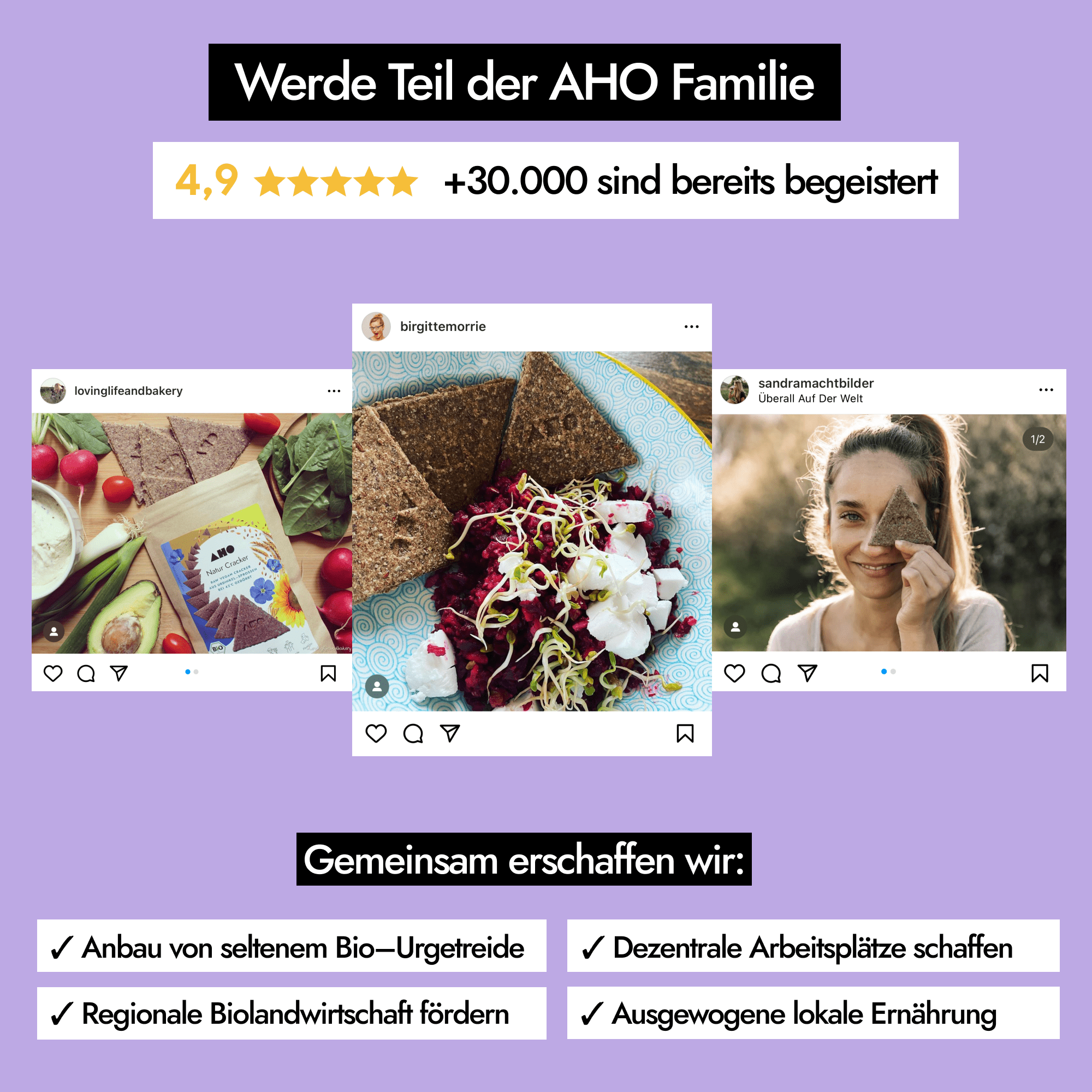 AHO Natur Cracker 2.0 Raw Vegan Cracker AHO.BIO GmbH