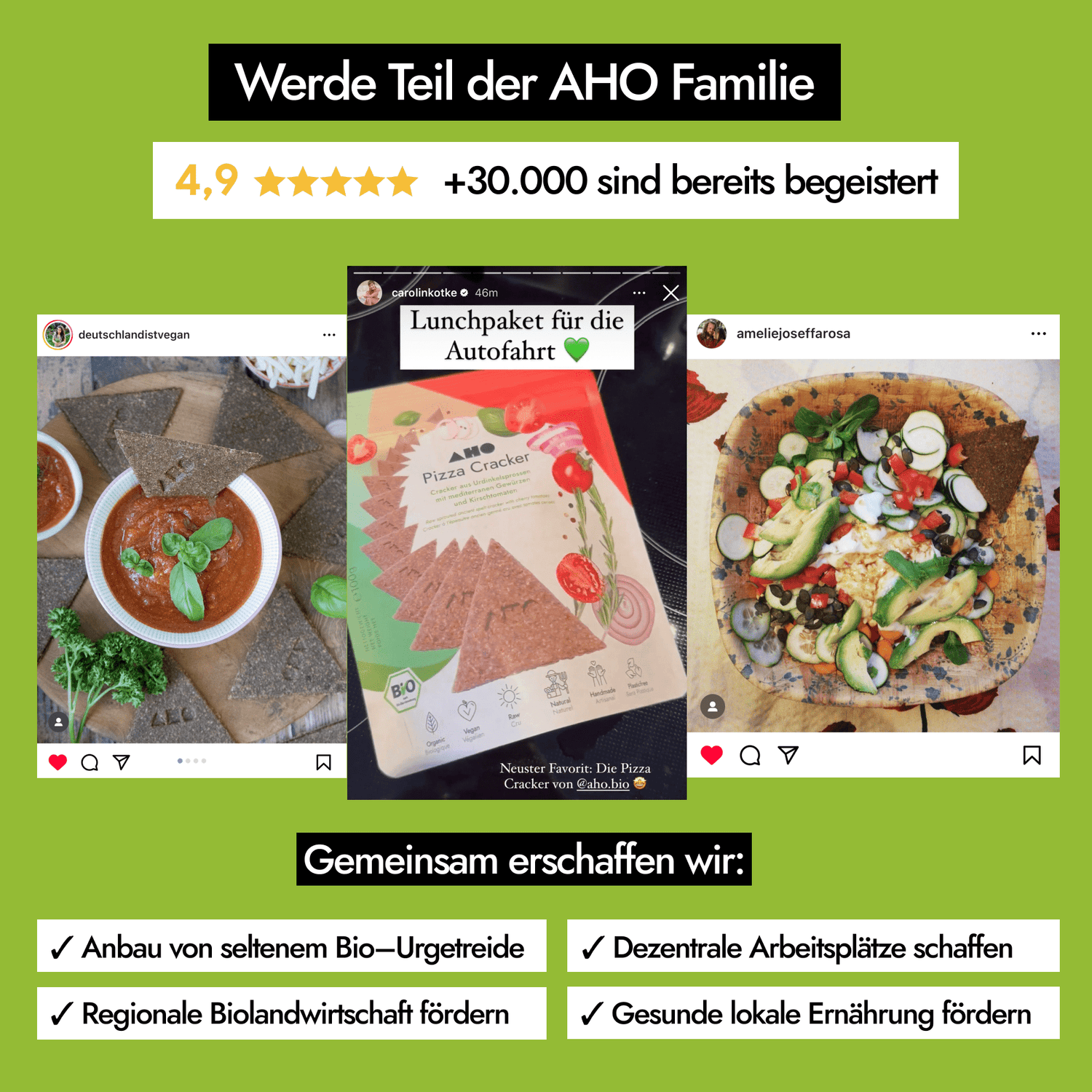 AHO Pizza Cracker 2.0 Raw Vegan Cracker AHO.BIO GmbH