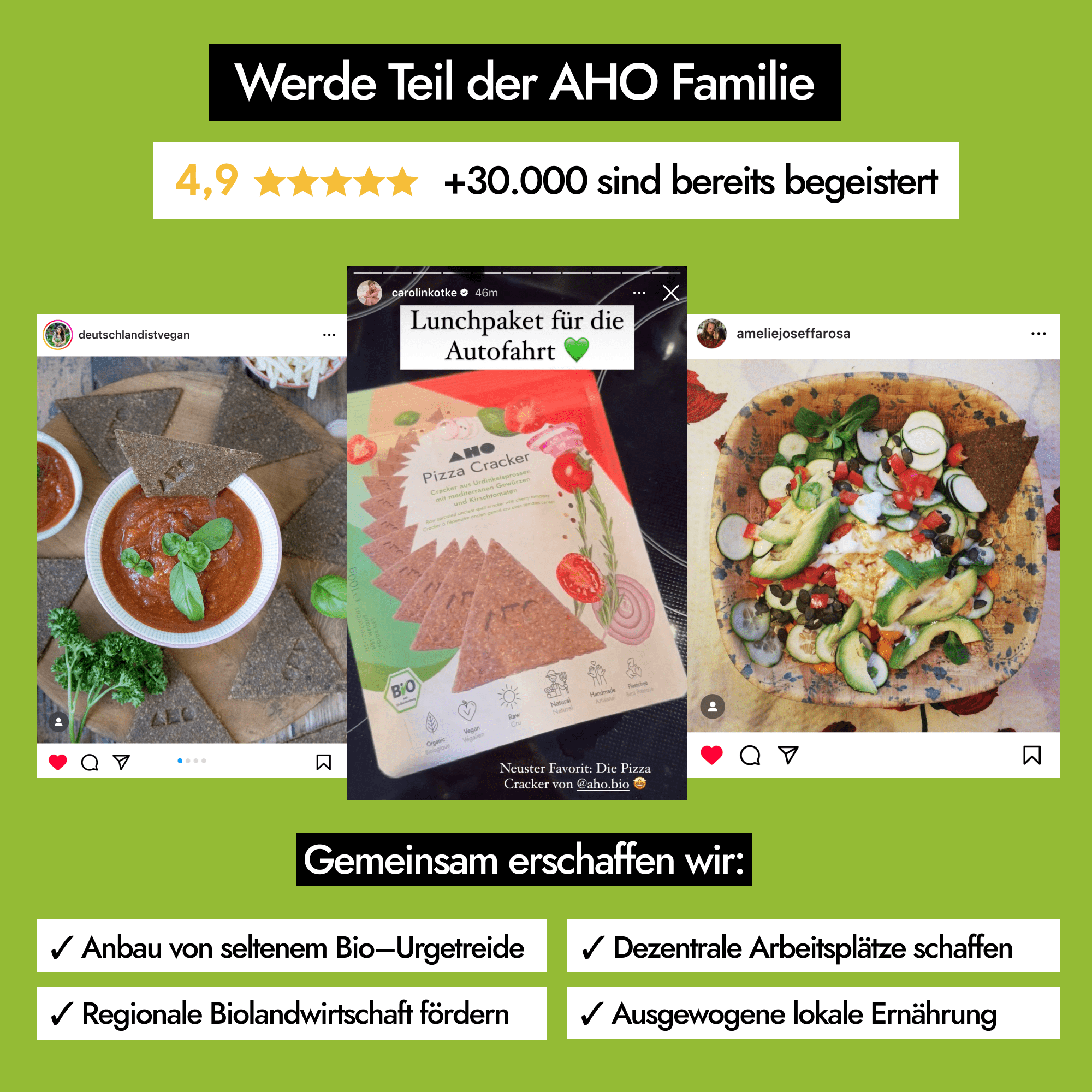AHO Pizza Cracker 2.0 Raw Vegan Cracker AHO.BIO GmbH