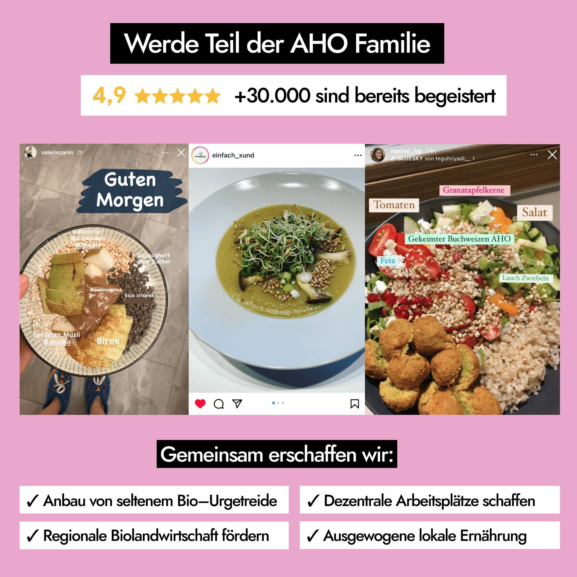 AHO Gekeimter Buchweizen Pseudogetreide AHO.BIO GmbH
